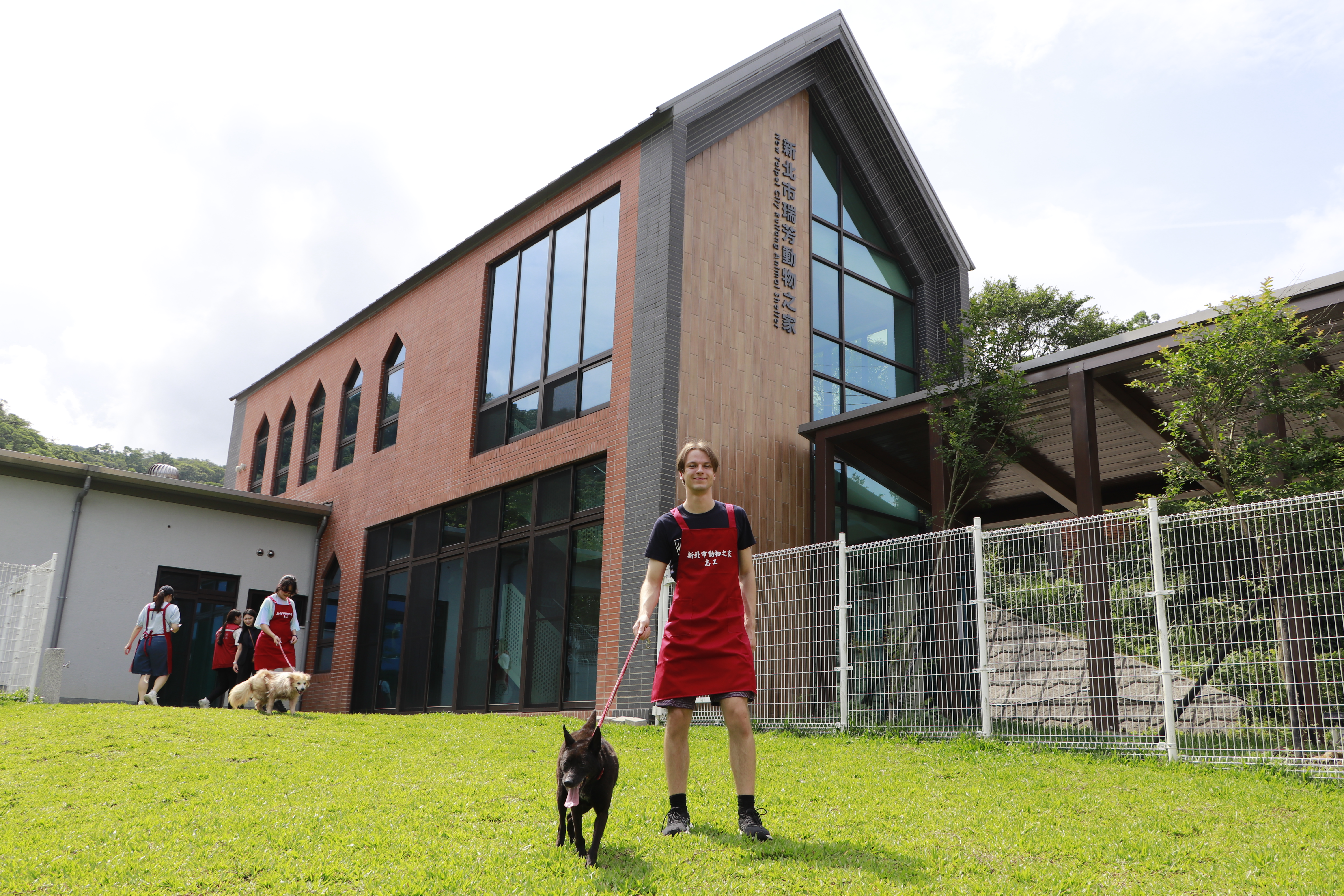  美國大學生第一次在瑞芳動物之家犬運動場體驗遛狗。