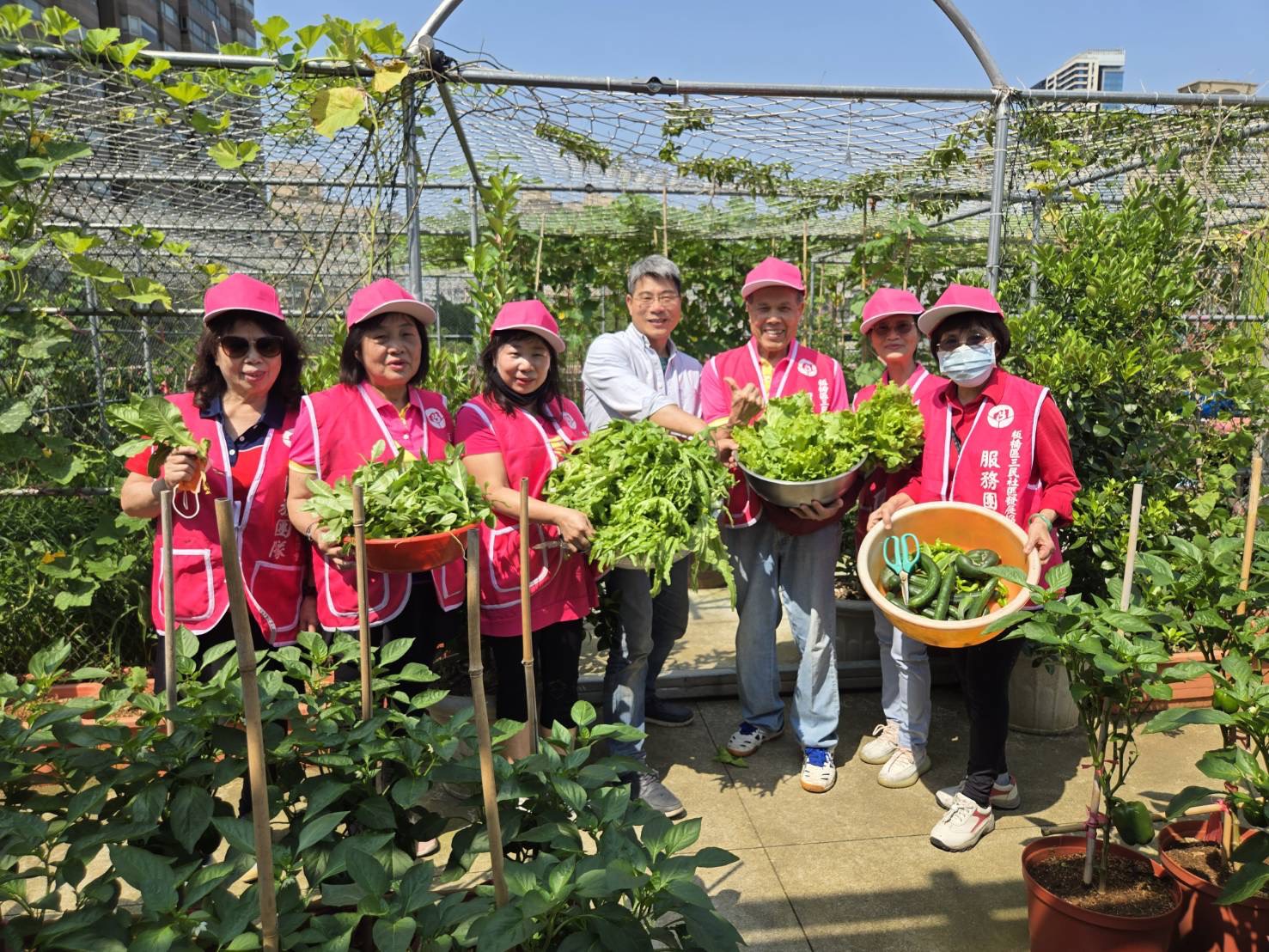 板橋區三民社區發展協會的愛心農場，透過城市綠美學輔導團實地輔導與施作體驗成果豐碩！