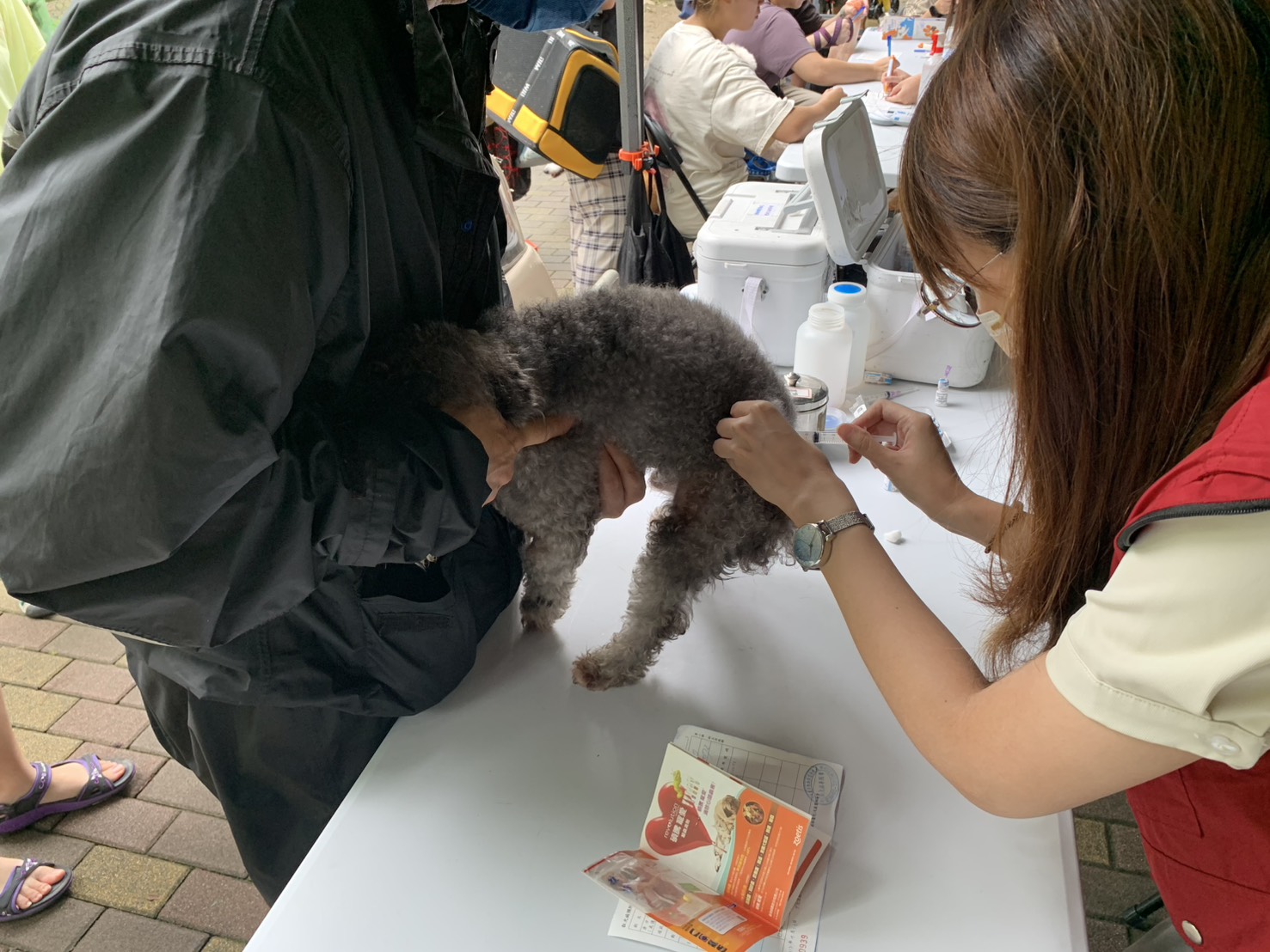 飼主須每年為家中犬貓施打狂犬病疫苗。