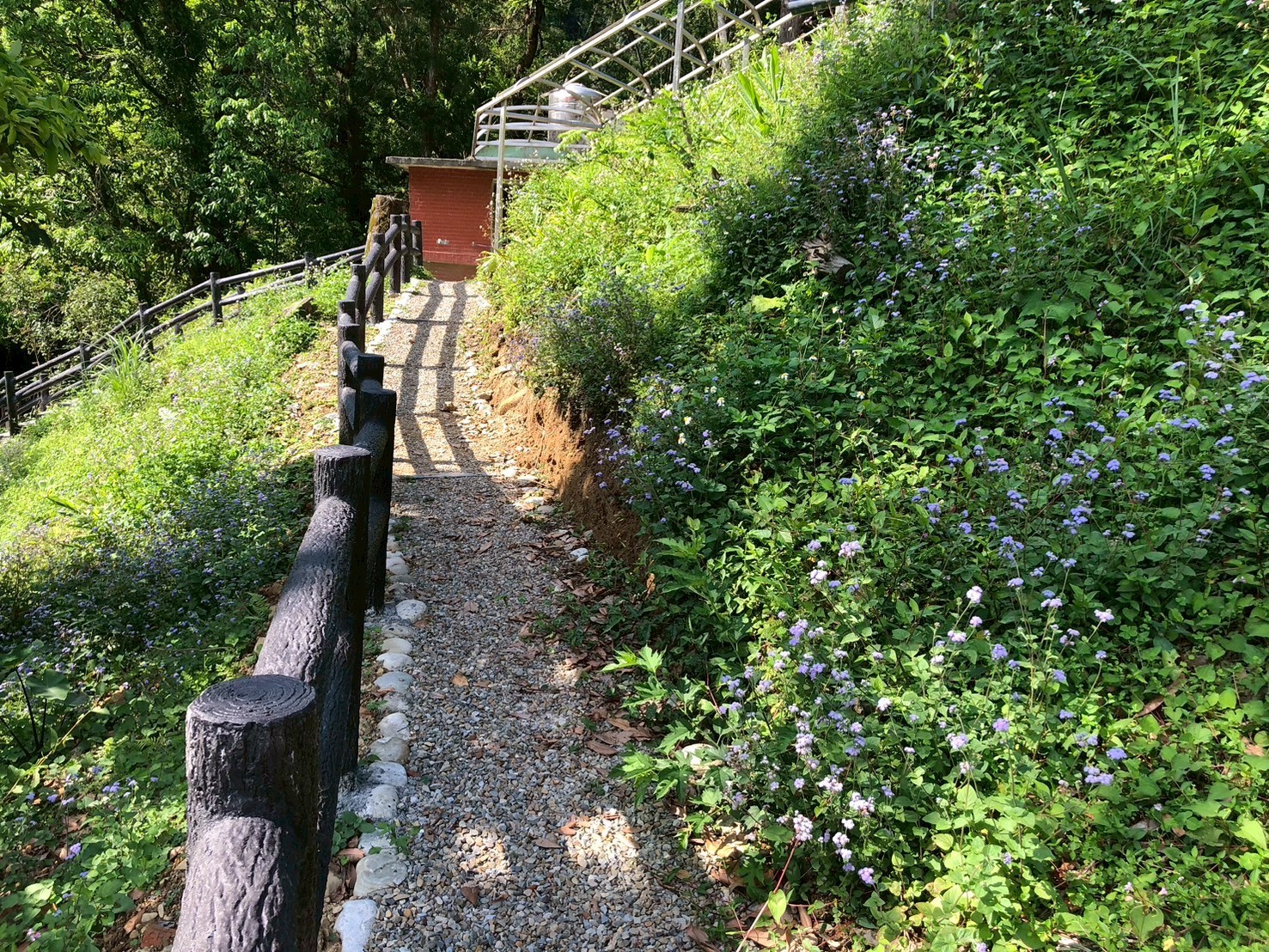  農業局設置碎石固結步道階梯與仿木欄杆，使得遊客賞螢能更加安全