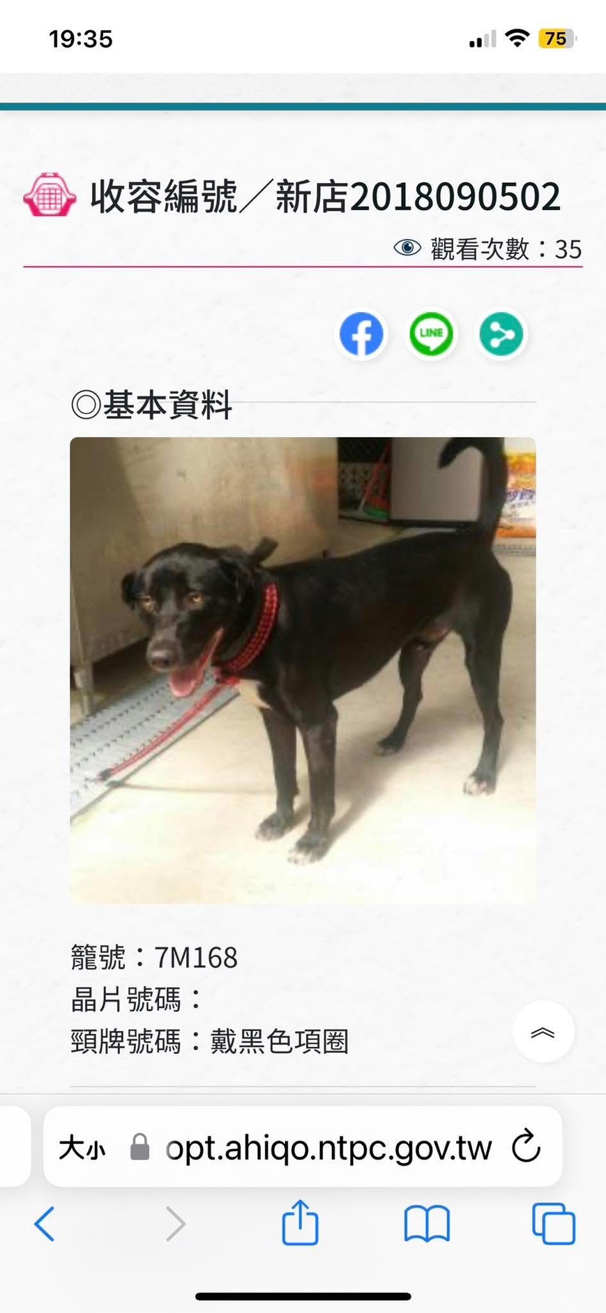 民眾可至新北市各動物之家及認養小棧認養動物。