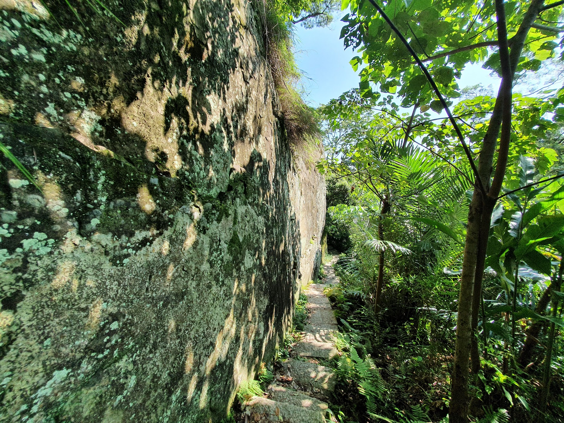  獅頭山步道綠意盎然，林蔭遮蔽，漫步其中清新舒適。