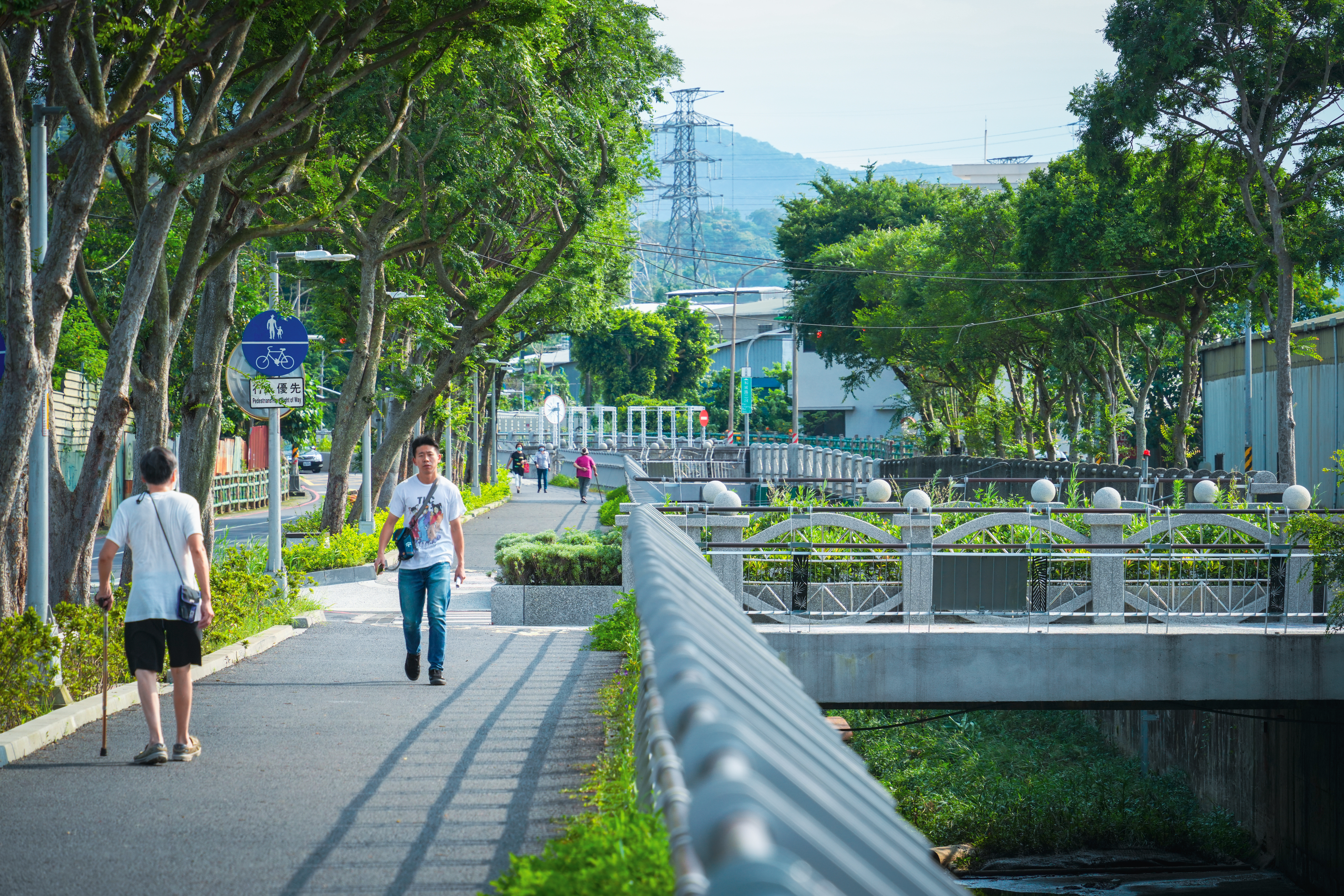 中和藤寮坑溝是全台第一個把三面光水泥溝渠改造成都市近自然河川的案例