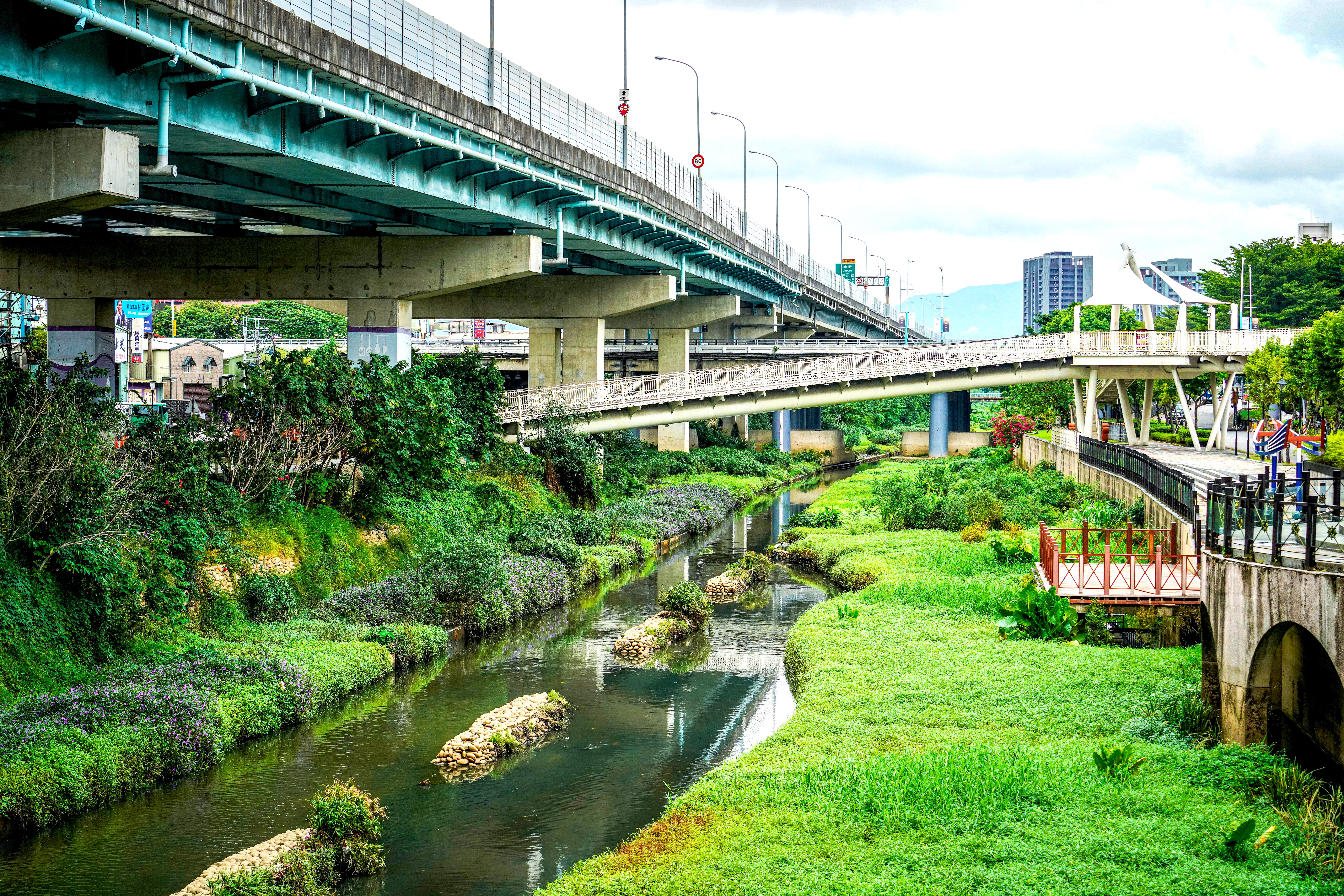 板橋湳仔溝於大觀橋河段打造蜿蜒河道，營造自然景觀，成功翻轉髒臭惡名