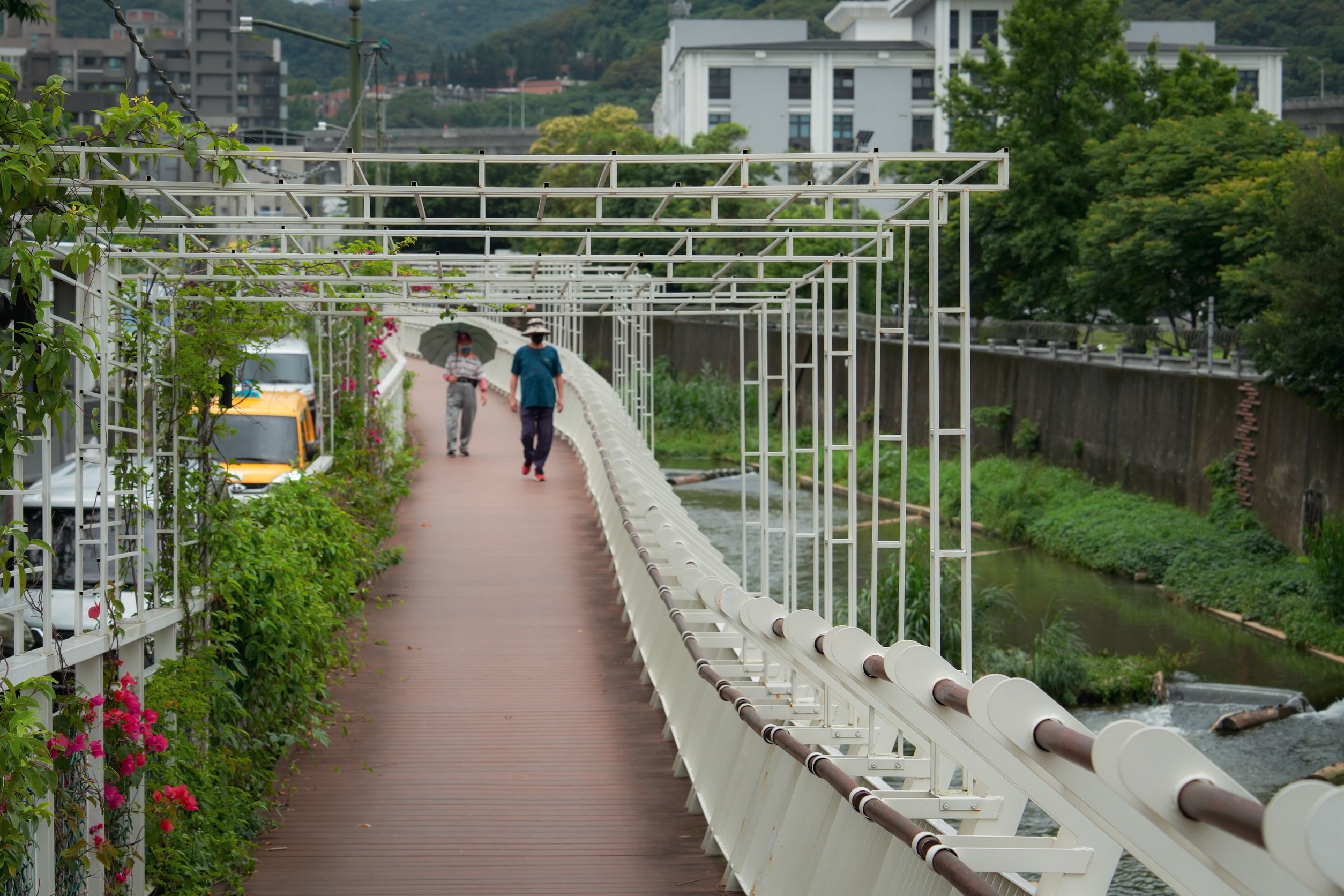 泰山大窠坑溪河道旁的鋼構棧道與公園步道串連，讓這裡成為居民的休憩天堂