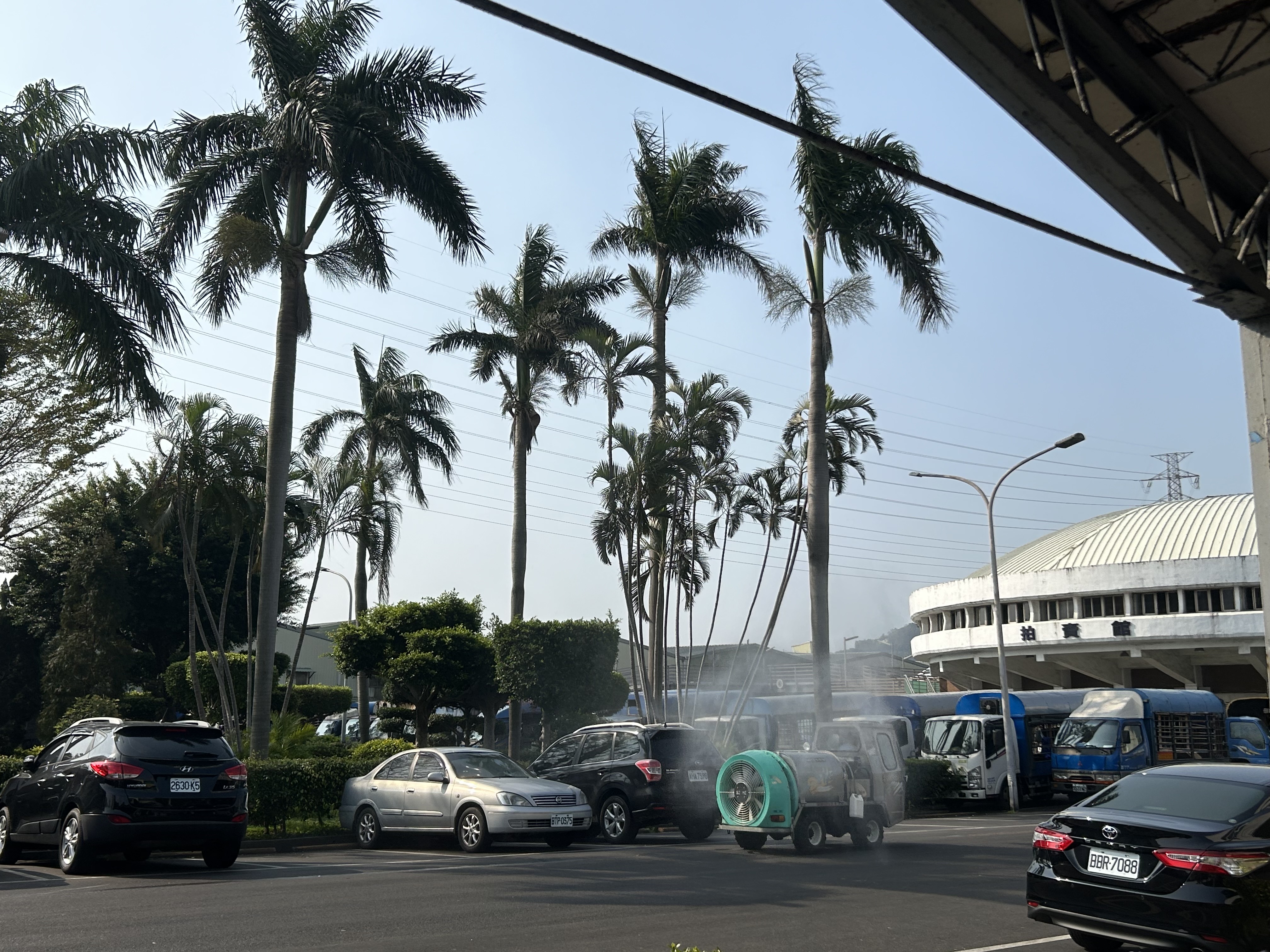 新北市肉品市場每日進行場內外的全面消毒。