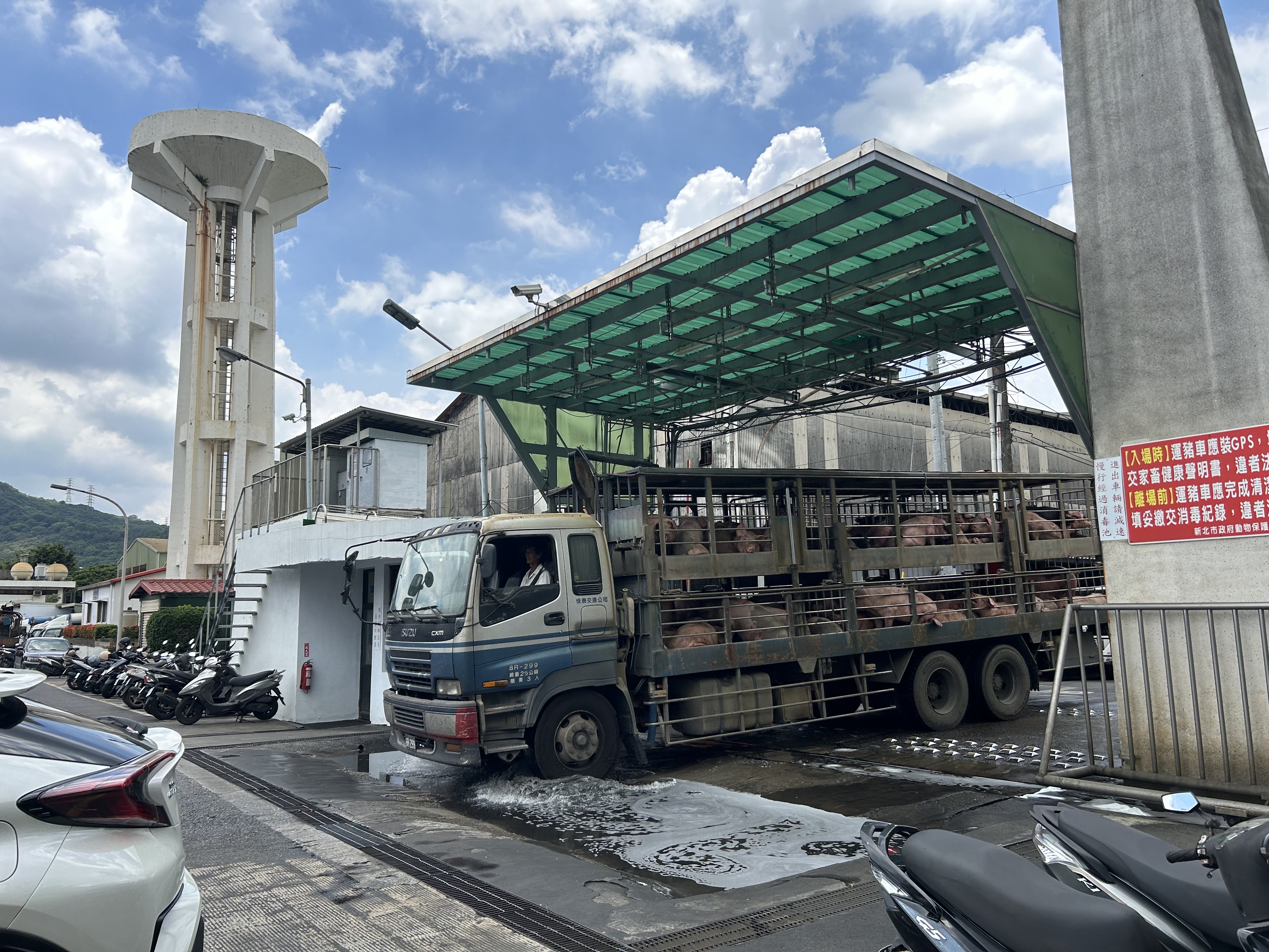 新北市肉品市場運豬車輛出入管制。
