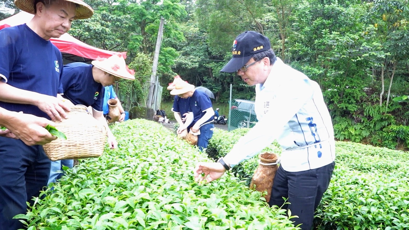 圖片來源：新北市政府