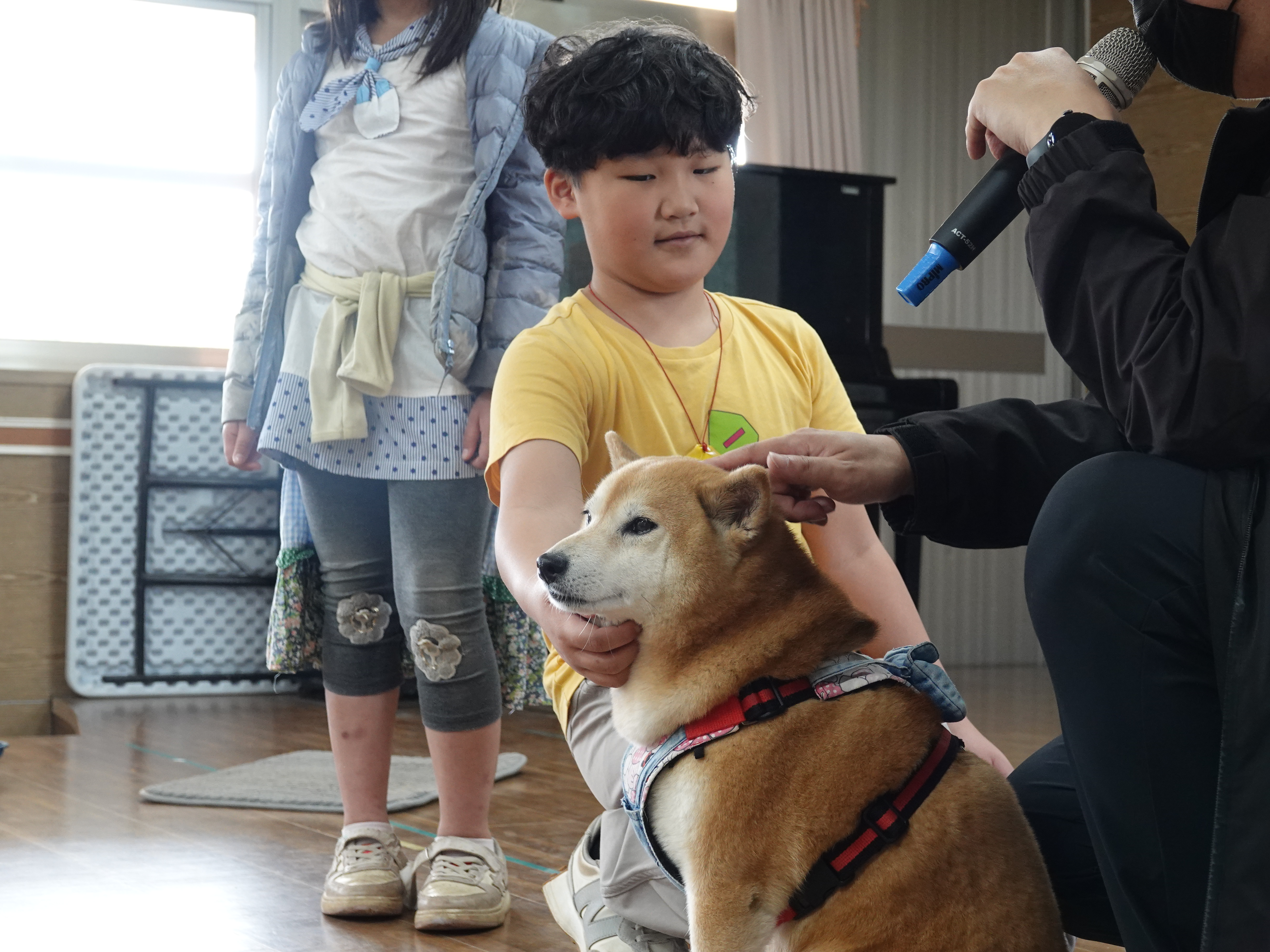  水源國小孩童詢問過米爸老師，教孩童先蹲下，讓毛寶貝嗅聞味道，才能伸出手摸牠下巴。