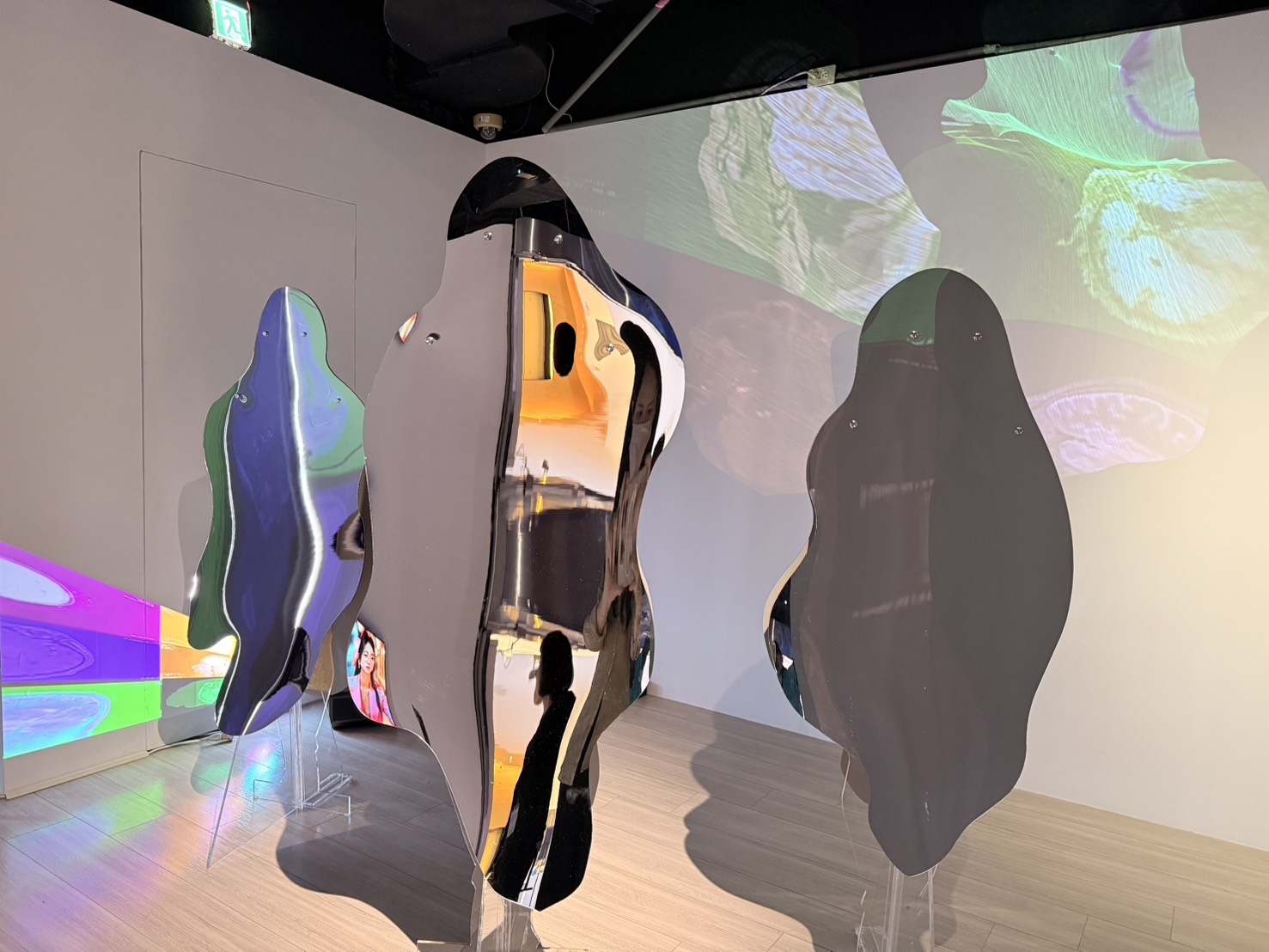 往年申請展展出-藝術家林月霞《微膠細胞失序》