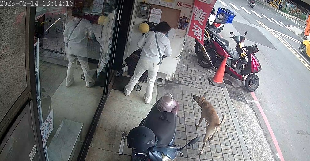  跟隨其他犬隻，造成飼主困擾並護犬。
