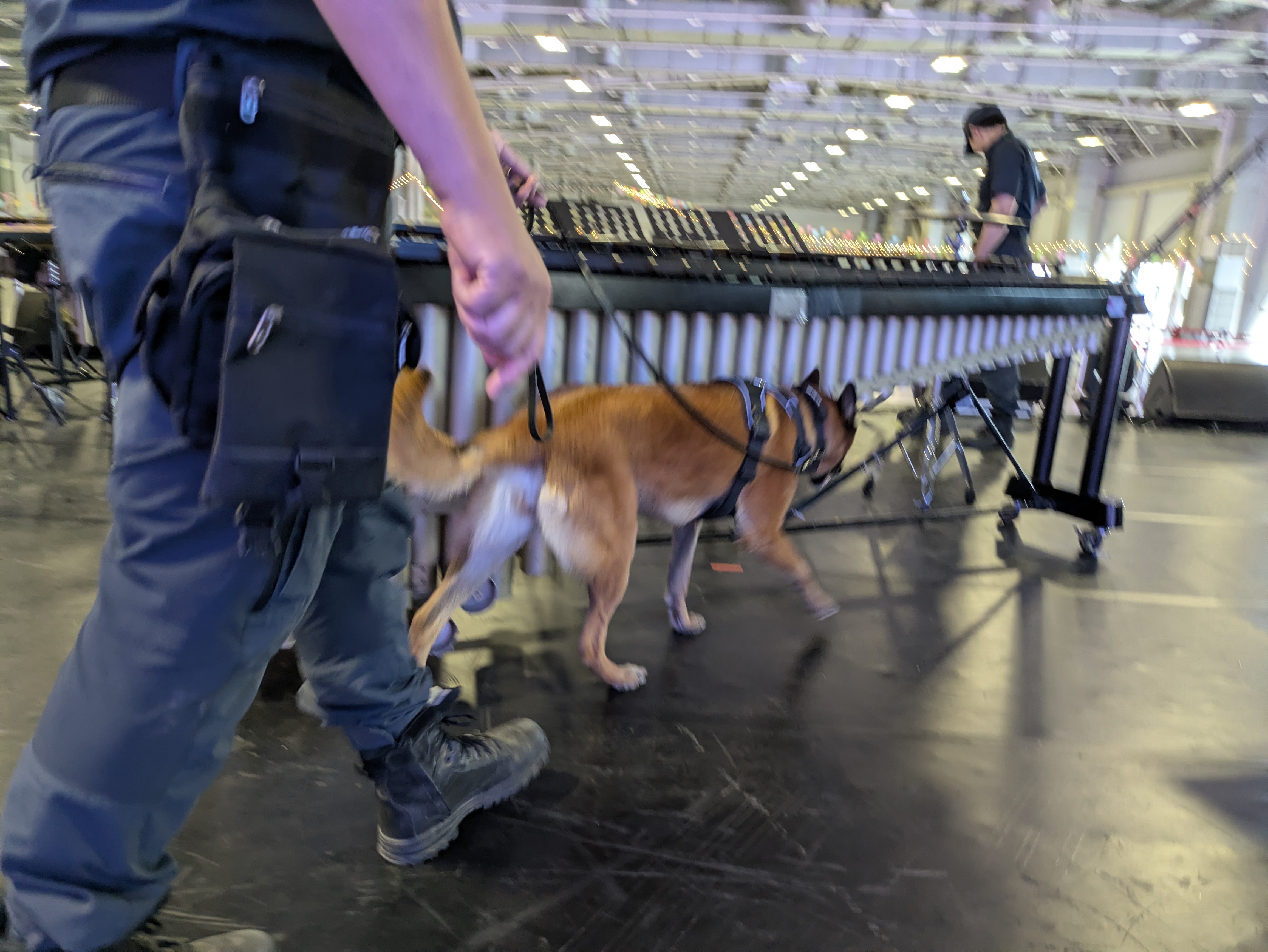  警犬工作時剪影。
