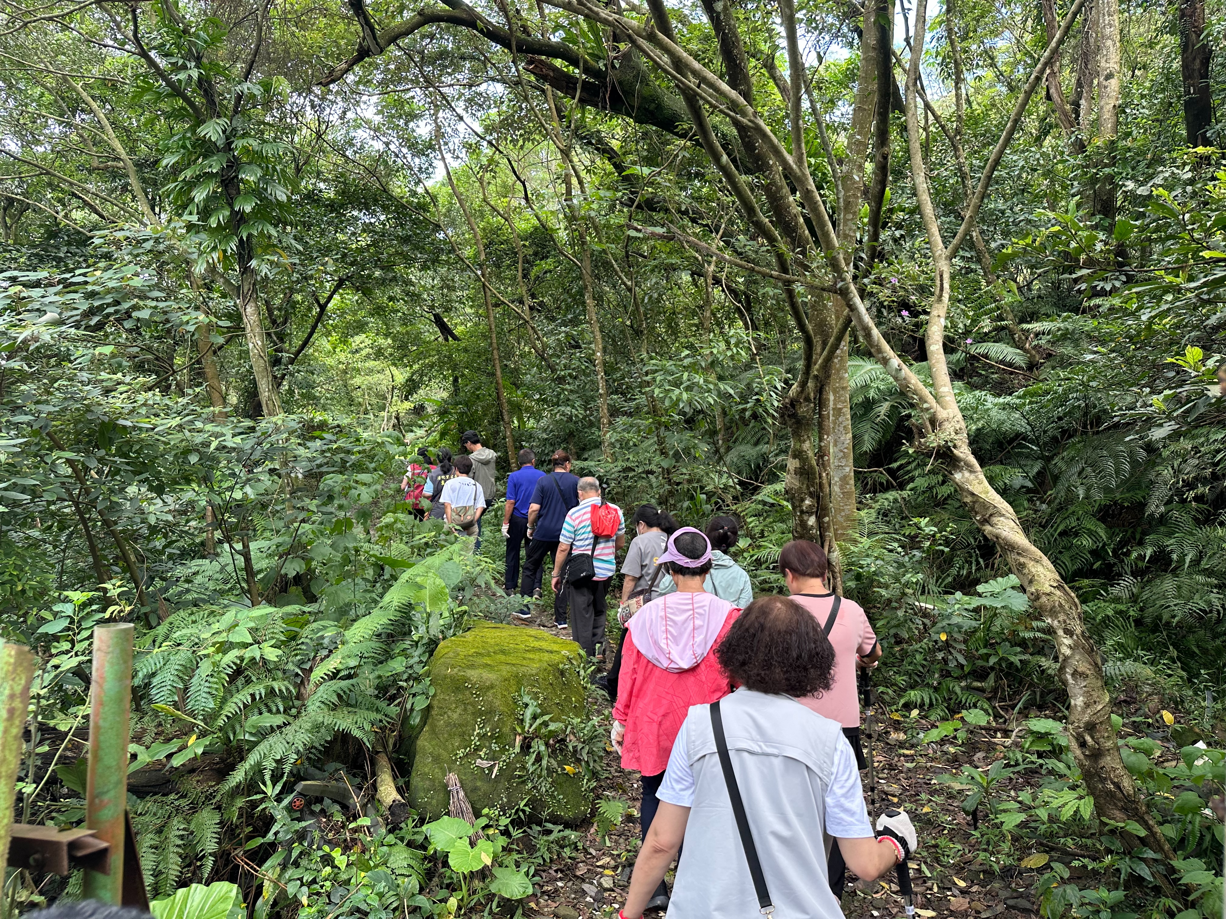 山林志工前往熱點山區巡查陷阱