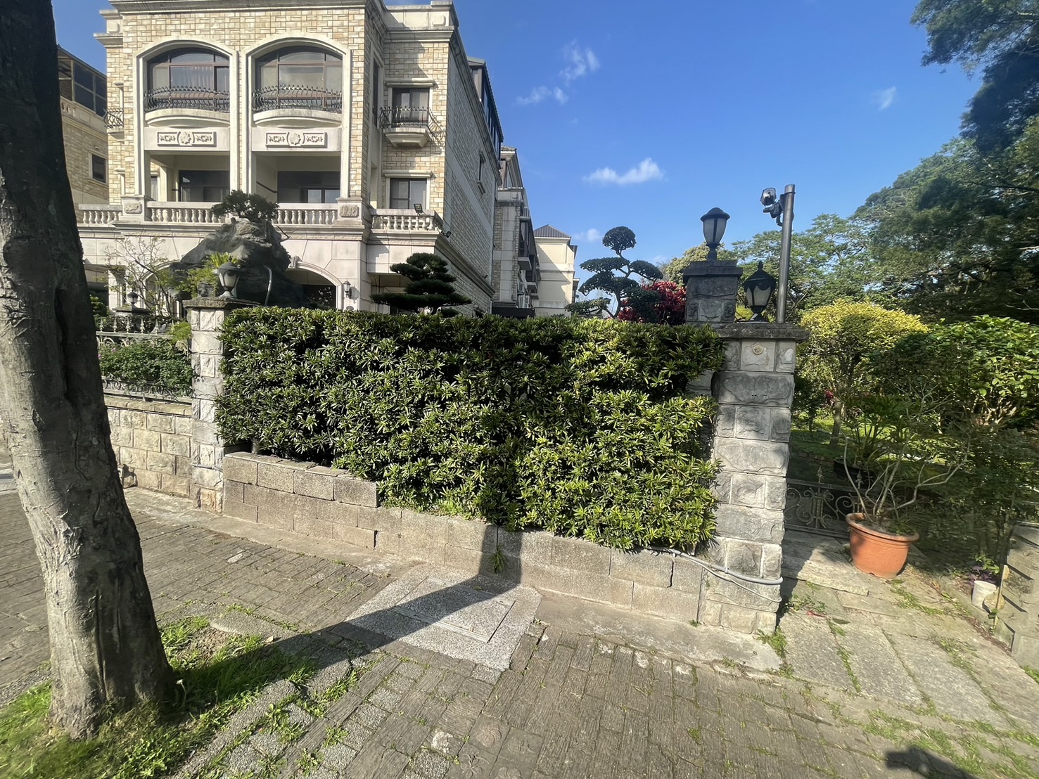 圖片來源：新北市政府