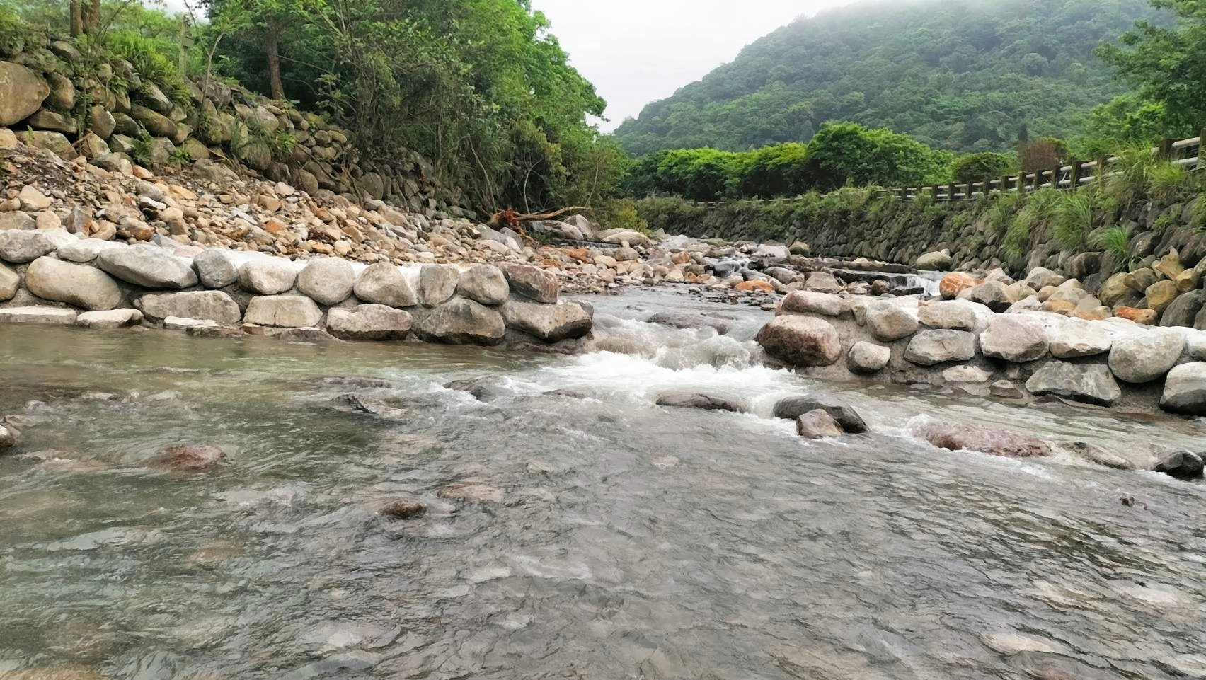 八連溪固床工採以兼具生態性設計，完工後生機盎然