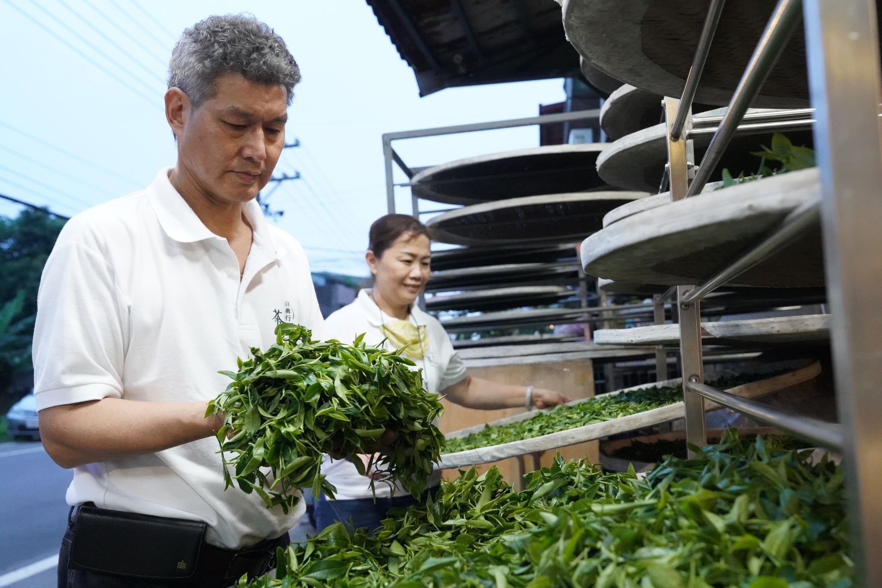  玉峯茗茶業由三峽區製茶第6代的茶農周育成與妻子李秀峯所經營.