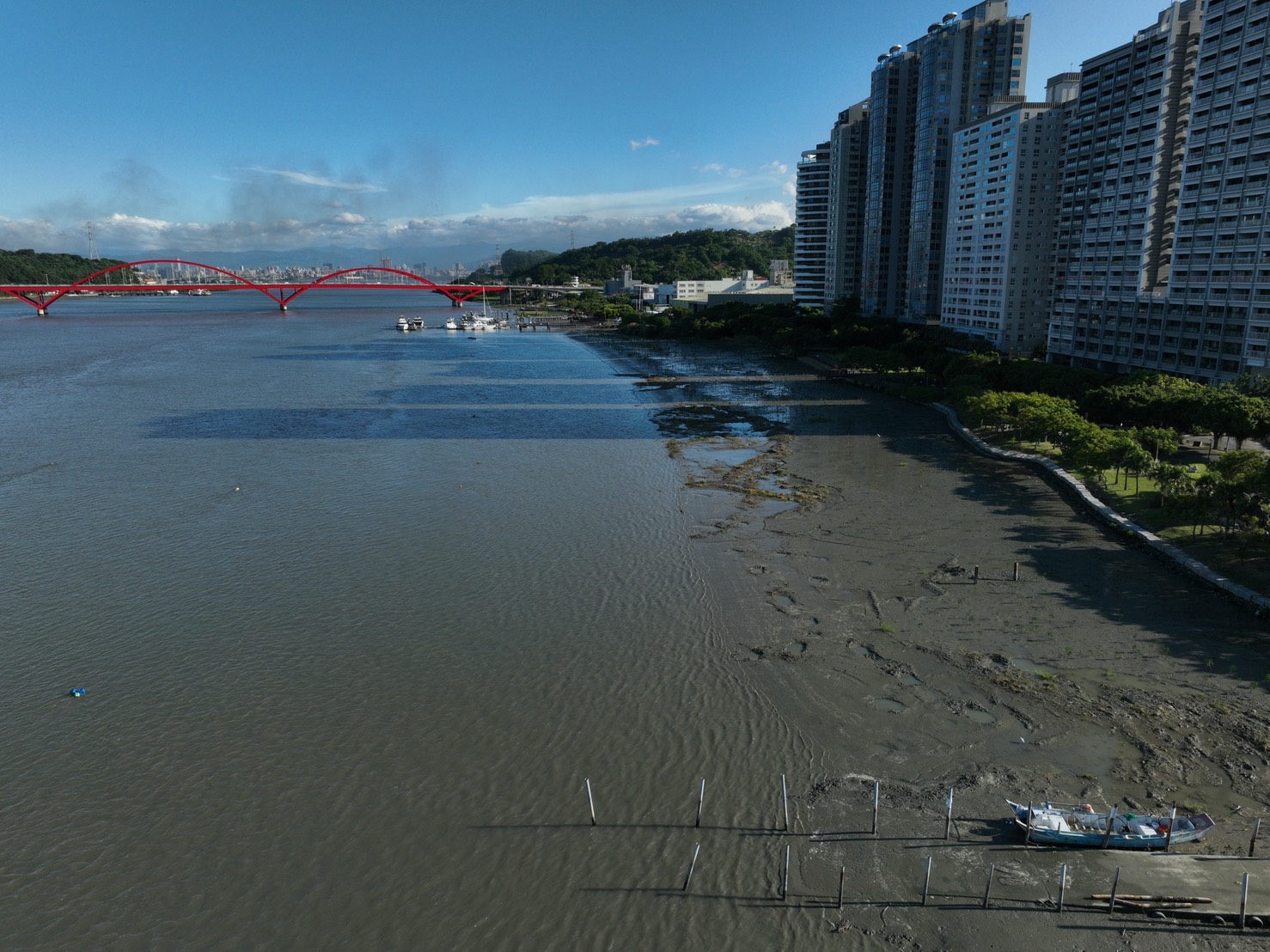 紅樹林皆伐後恢復灘地，減少阻礙水流及泥沙淤積問題