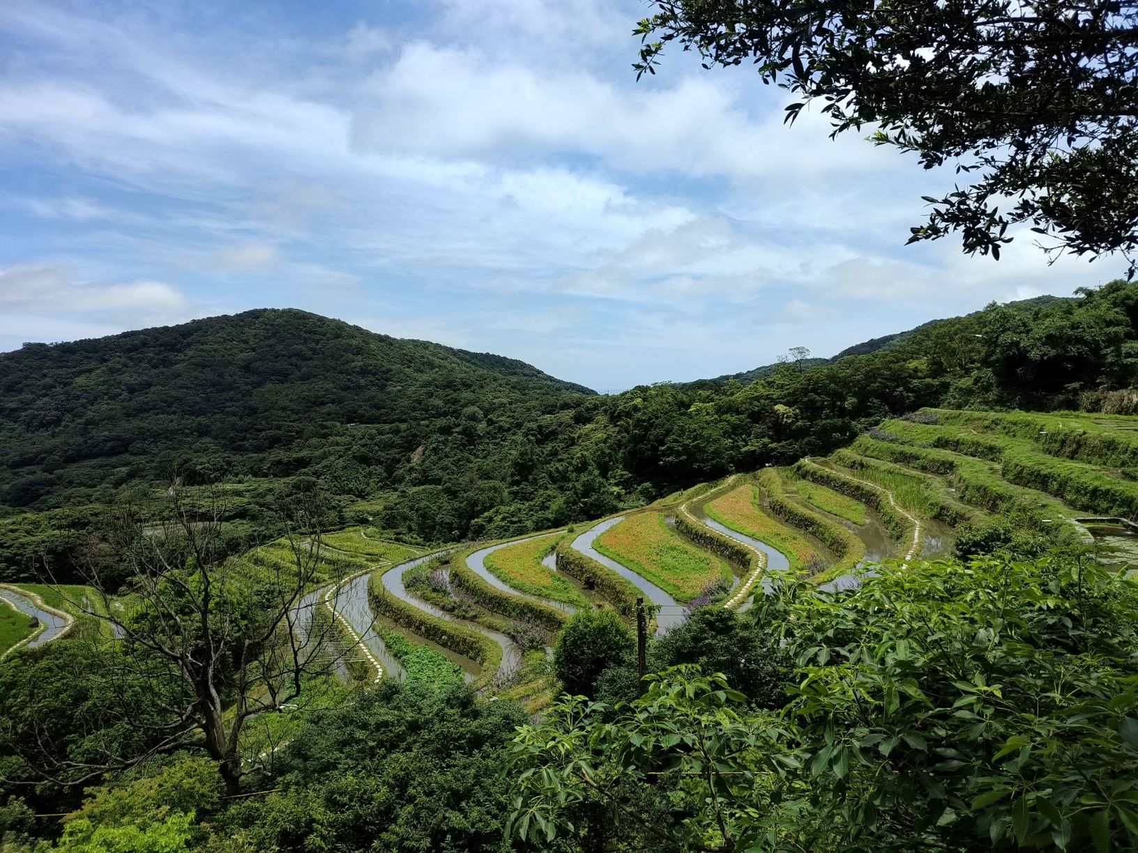  今（114）年給付區域範圍擴展至全市8個行政區的水田及水梯田