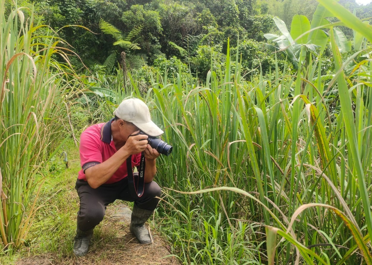  農民紀錄田間動植物生態