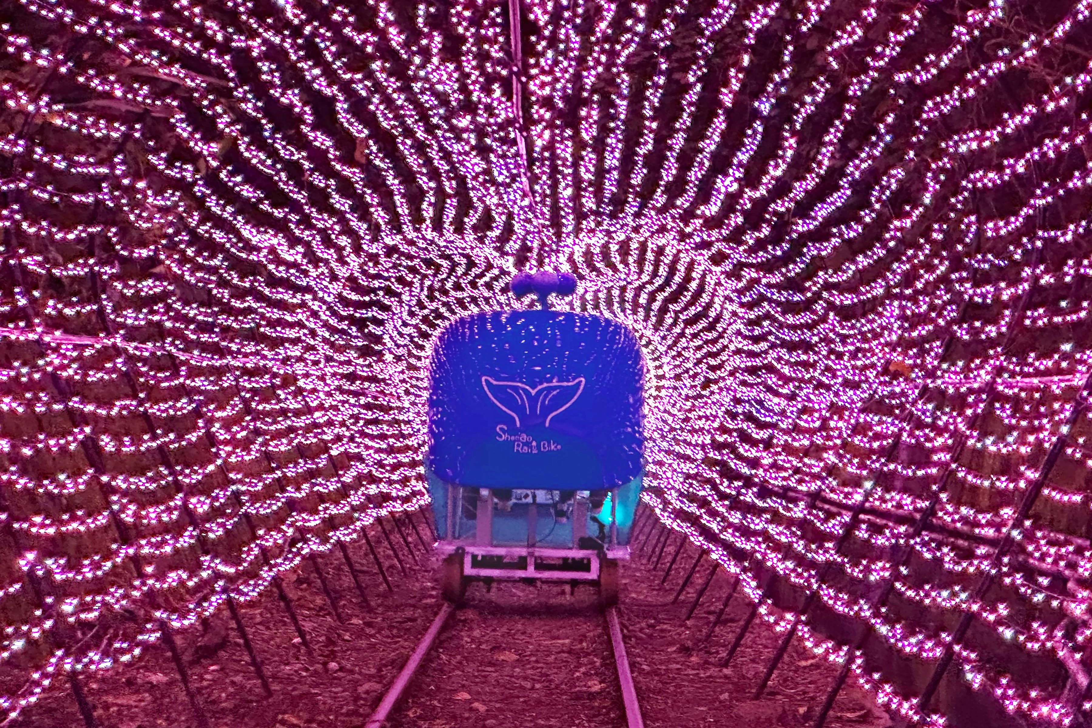 騎乘在愛心燈海廊道，彷彿走進星光編織的戀愛物語中，伴著夏夜晚風與燈影，體驗夏夜最動人的溫度。