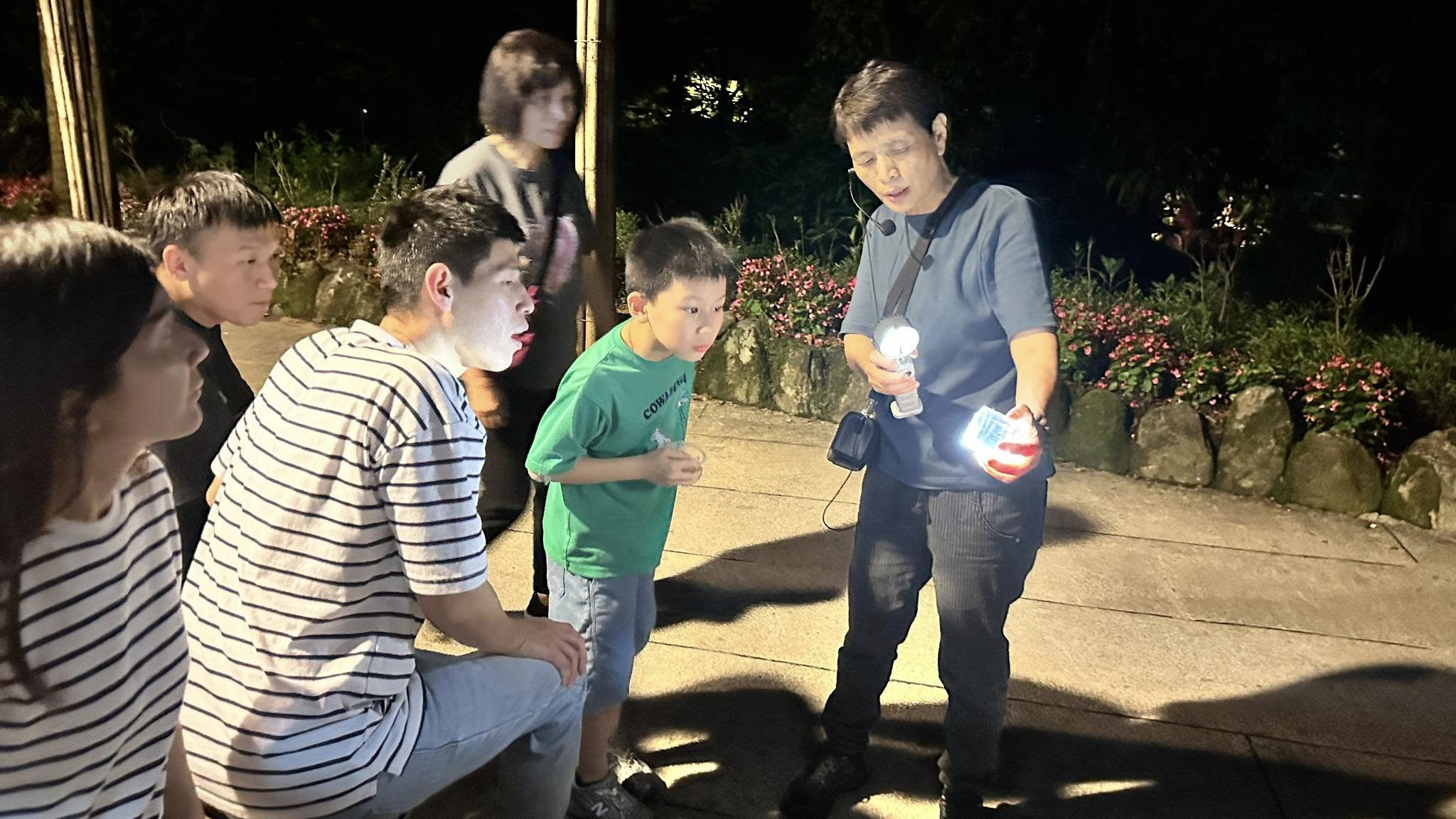夜間在雙溪平林農場觀賞螢光閃閃的螢火蟲
