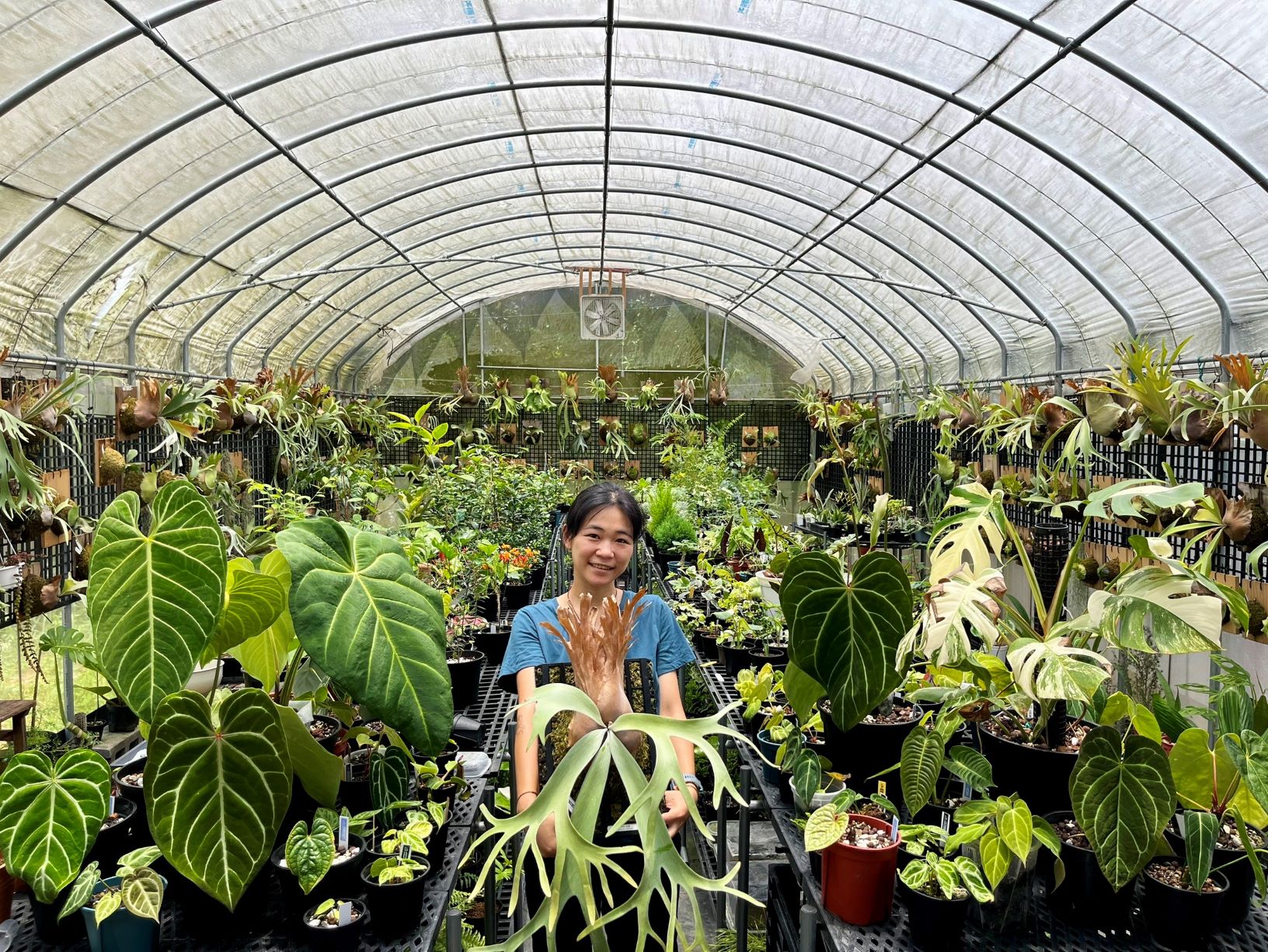  「2025植愈蒔光節」邀請新北在地綠植店家到場