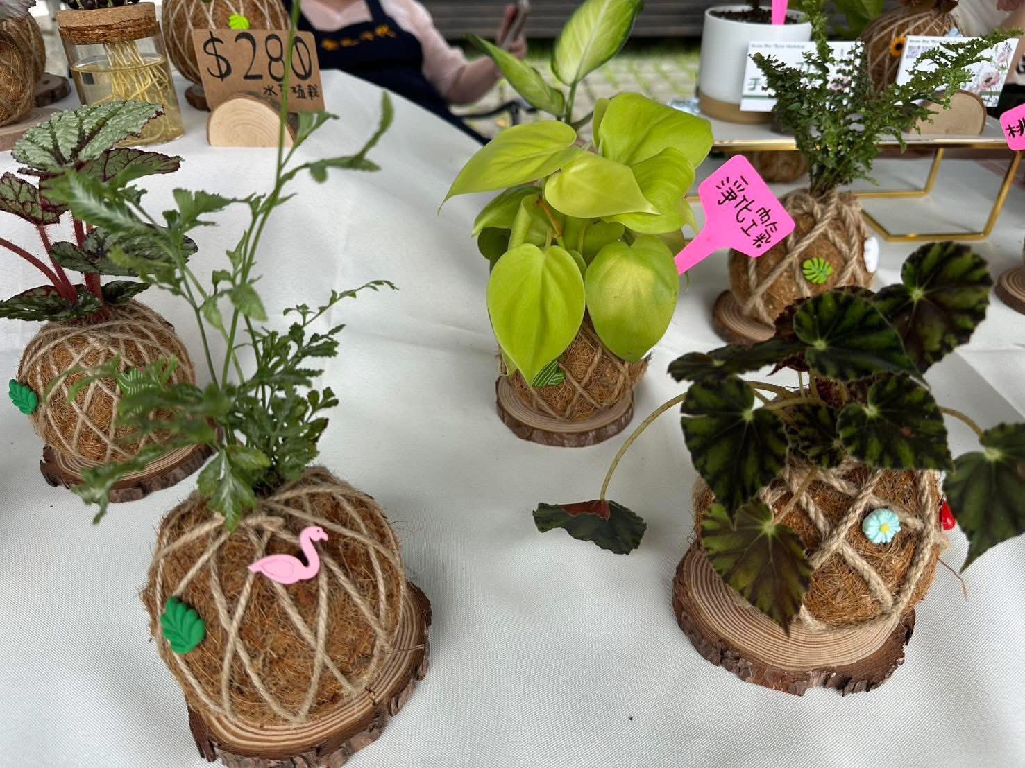  「2025植愈蒔光節」現場將展售植物
