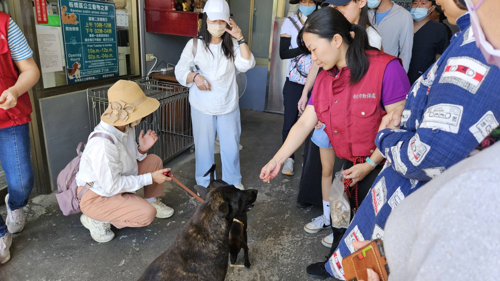 苗栗縣動物防疫所志工與板橋動物之家人員交流，討論收容犬隻社會化訓練。