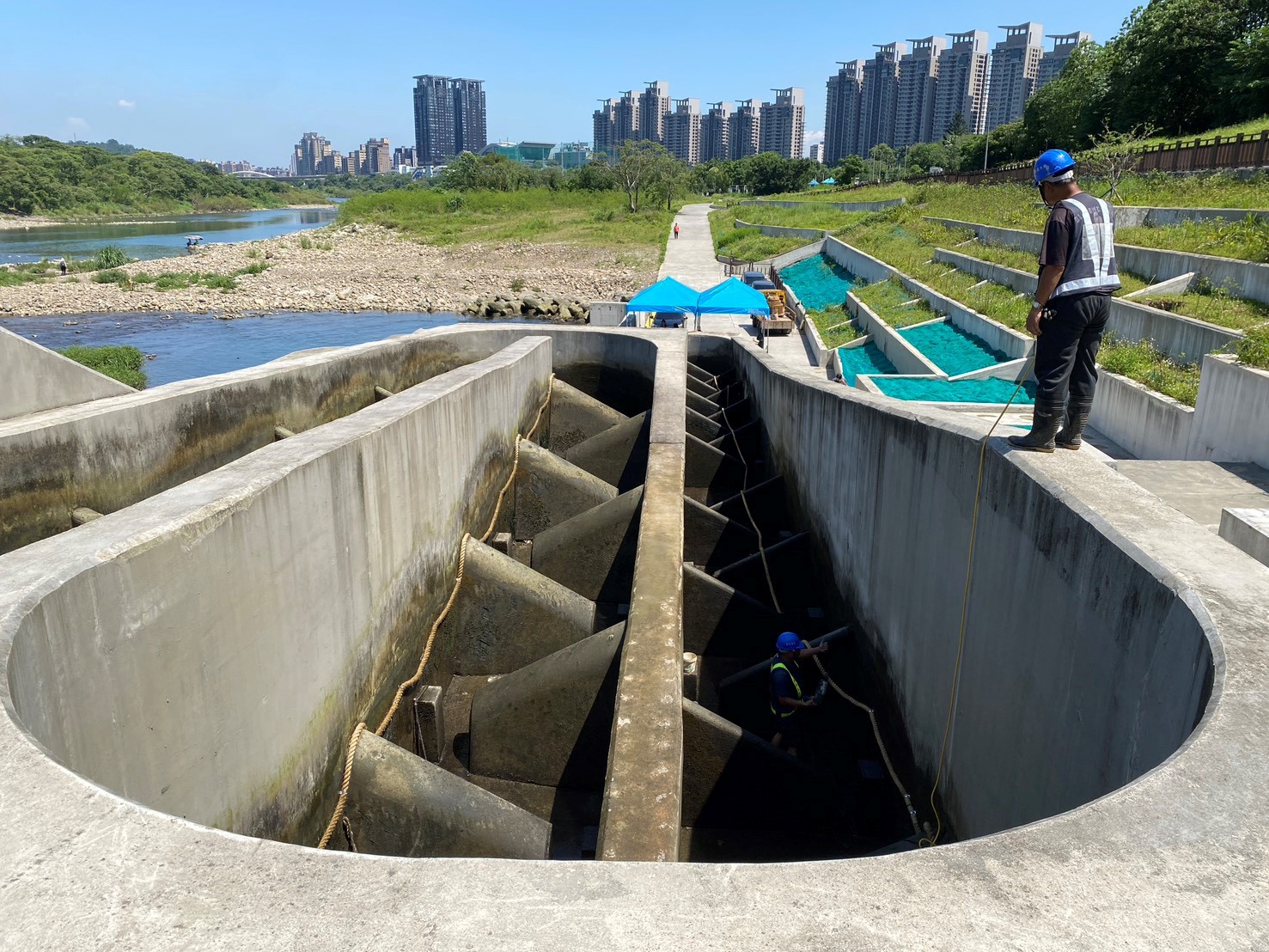  魚道內麻繩直徑3.8公分、長度超過132公尺，讓小毛蟹們能藉由「繩助攻」輕鬆攀爬越過堰體
