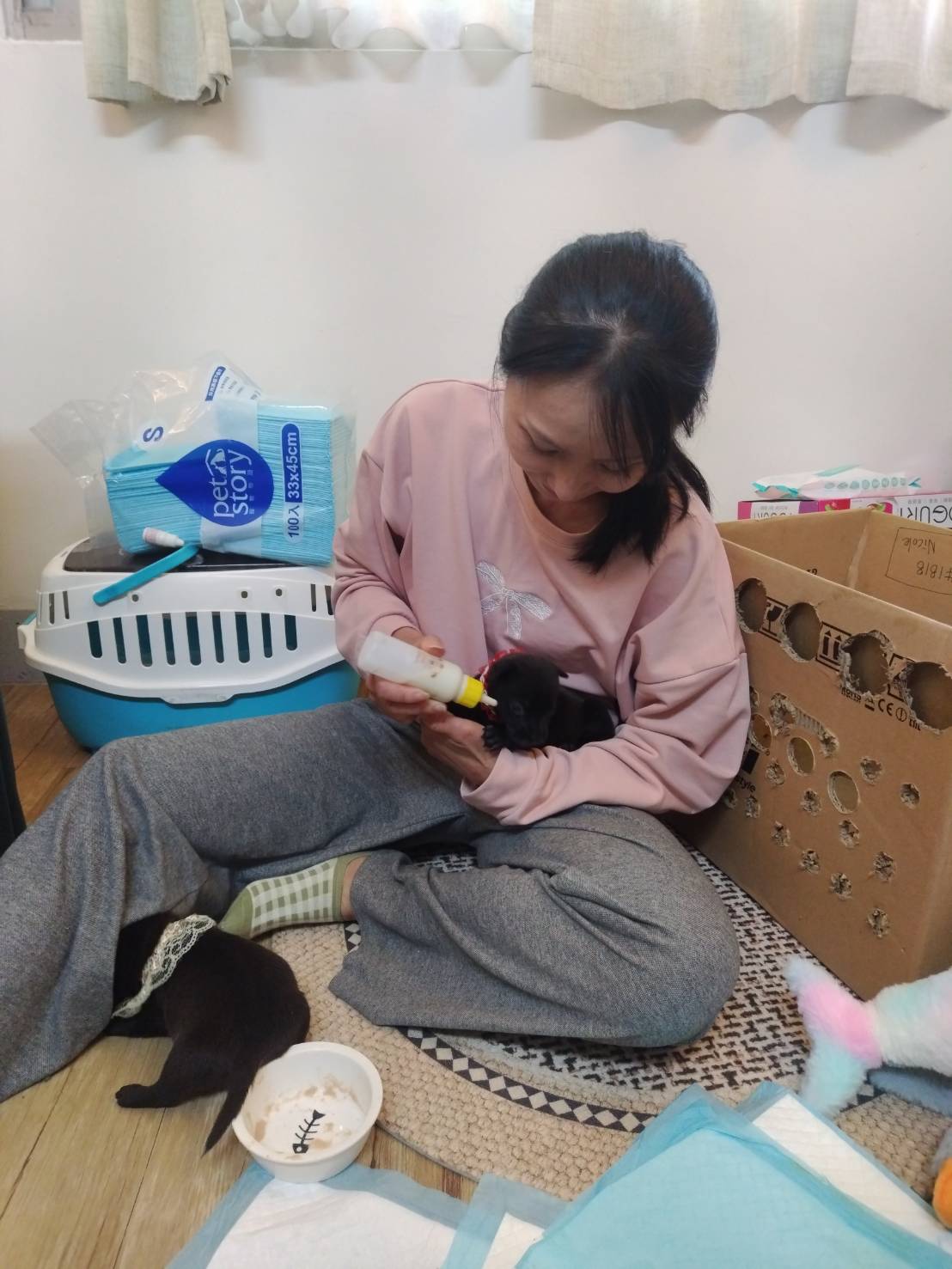田美惠照顧未離乳幼犬。