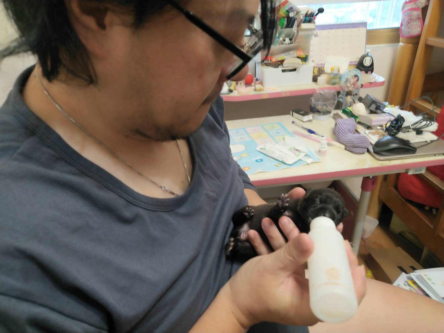 榮先生照顧未離乳幼犬。