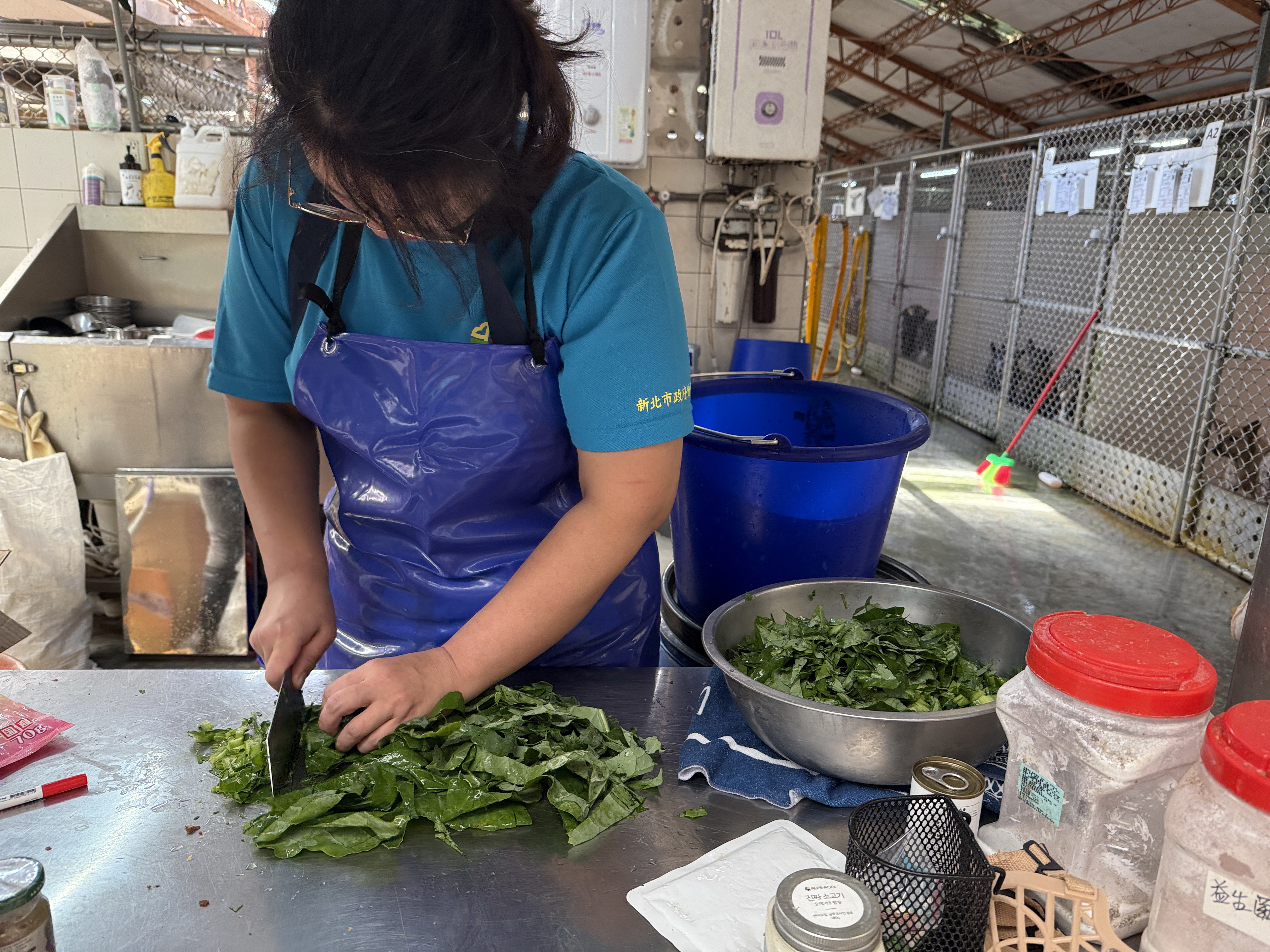 挑選生鮮蔬菜準備加入鮮食一起烹煮的照片。
