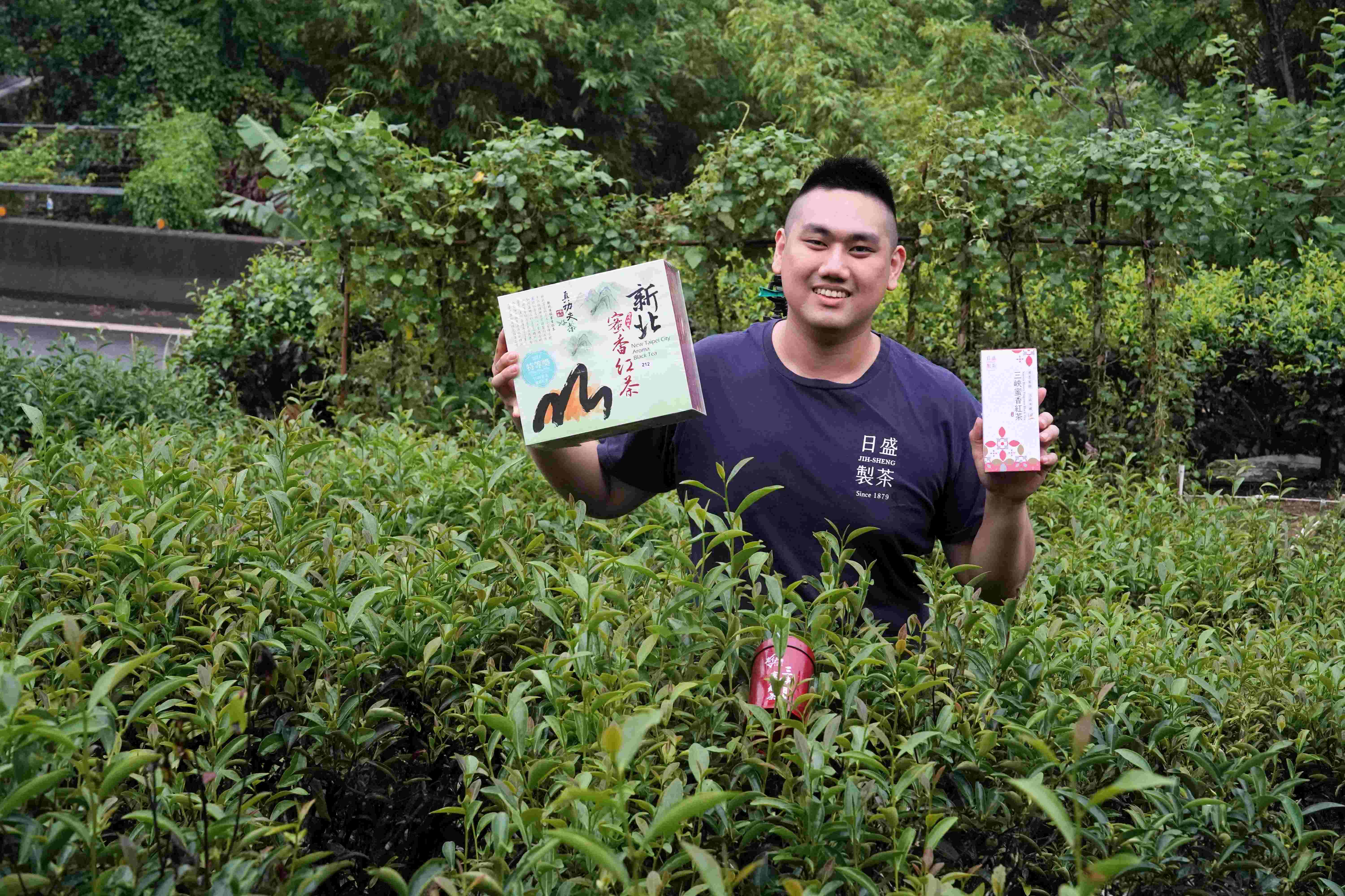  三峽青農周子耀連續3年拿下新北蜜香紅茶特等獎