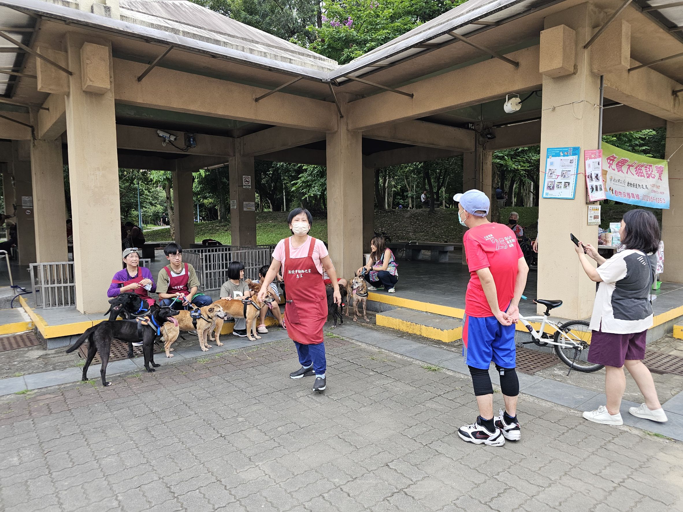  志工隊長黃新協助動物之家提高整體認養率。
