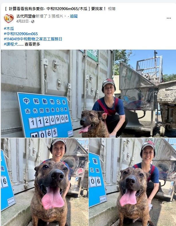 臉書上宣傳狗狗的資料增加曝光率。