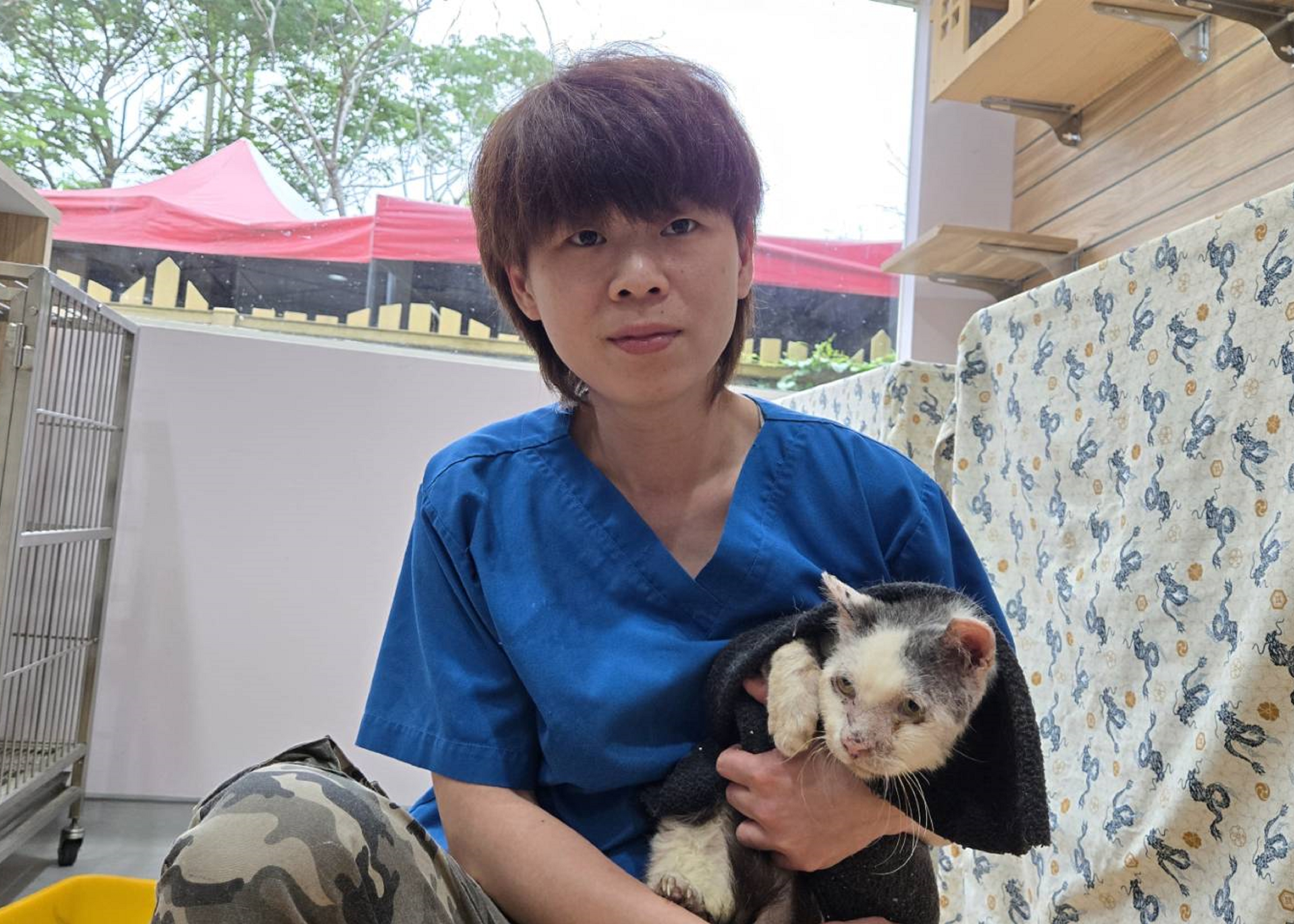  所幸「老爹」堅毅的精神打動了李小姐，一戶擁有豐富照護經驗的家庭最終決定伸出援手，給牠一個安穩且有尊嚴的歸宿。