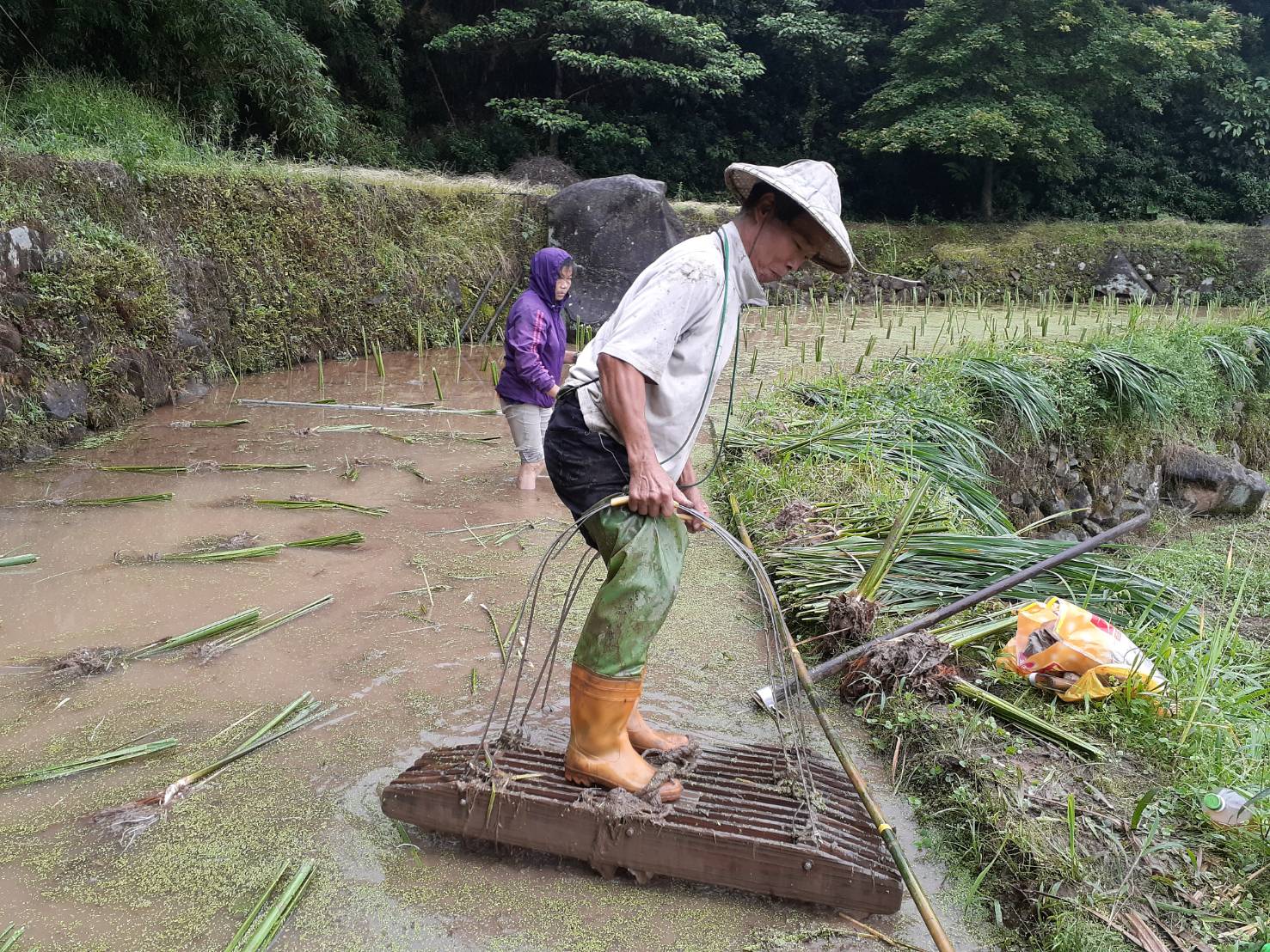 透過生態薪水鼓勵農民從事友善農耕、棲地管理及生態紀錄.jpg