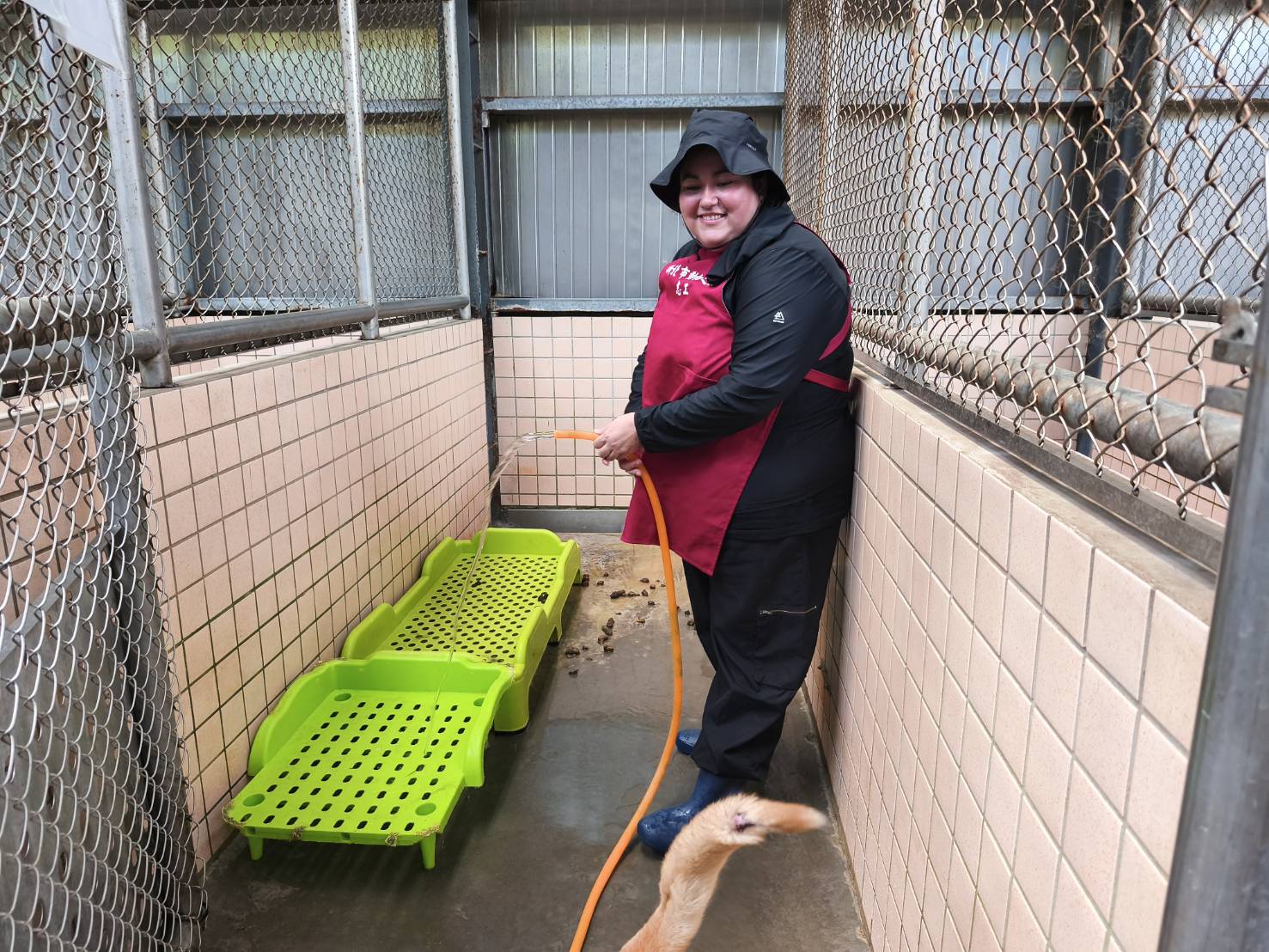 不嫌髒和辛苦打掃犬舍讓它們有一處乾淨舒適地居所。
