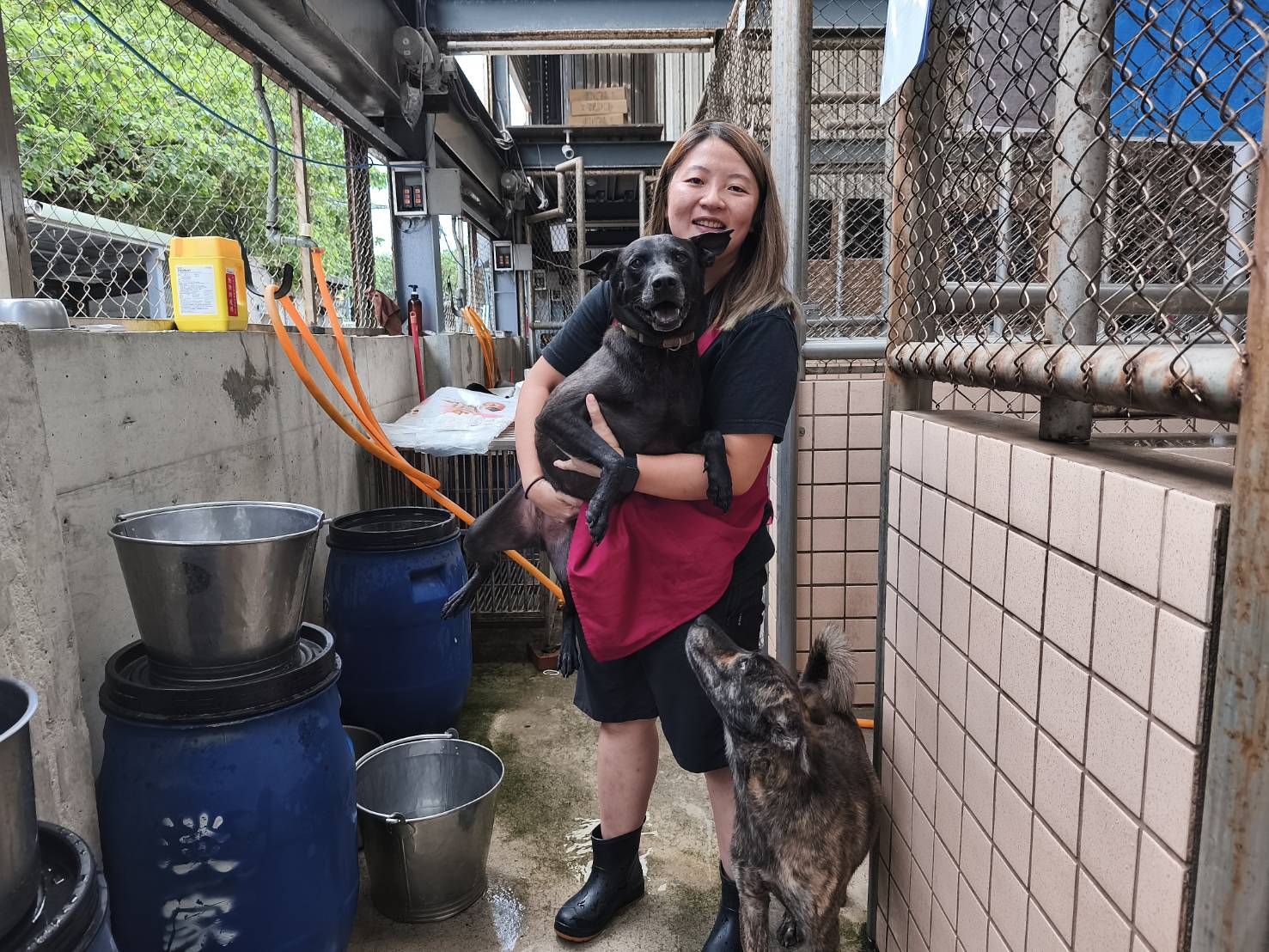  Claire說給動物多一分愛，它們就回報你一百分的熱情。