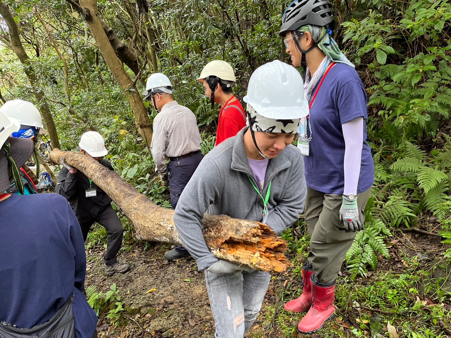 步道學員就地取材蒐集可使用的木料（113年活動資料照）