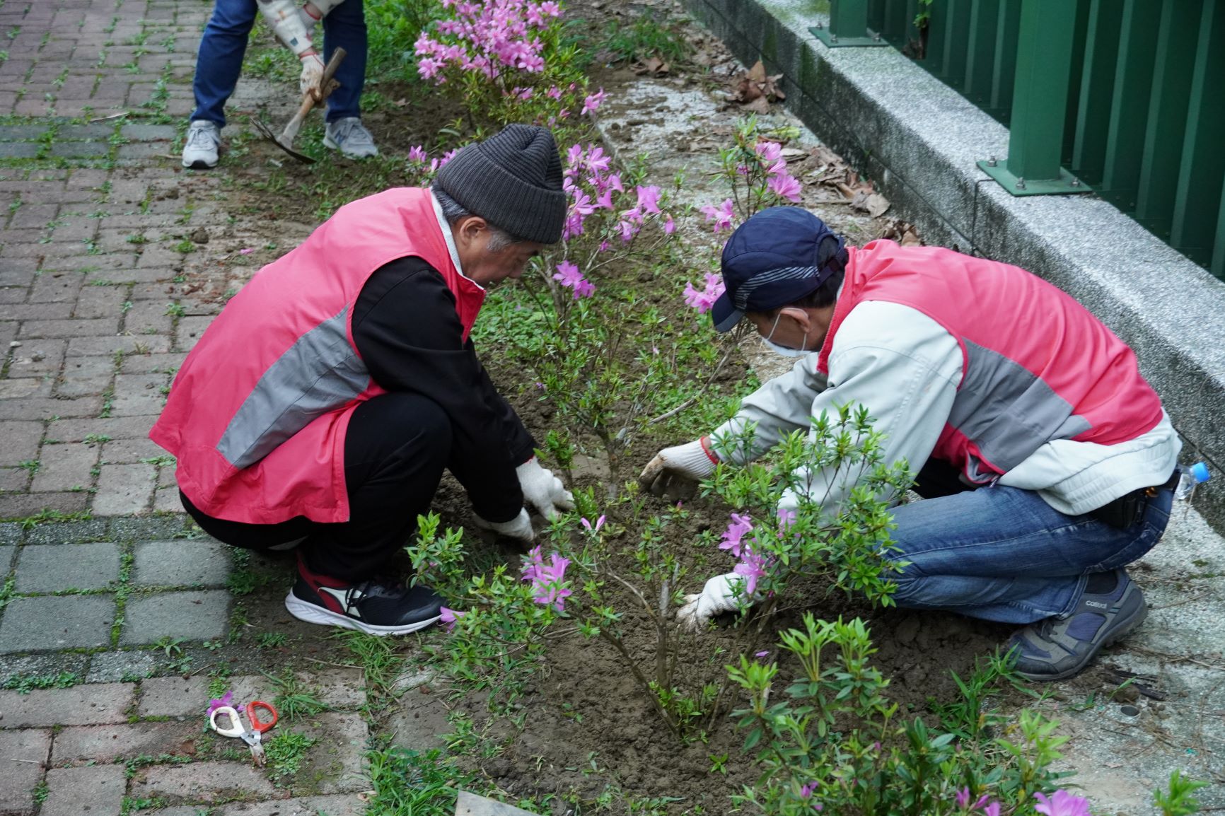  新北市攜手北台七縣市持續推動「為地球種下一棵樹&mdash;百萬人種百萬樹」計畫