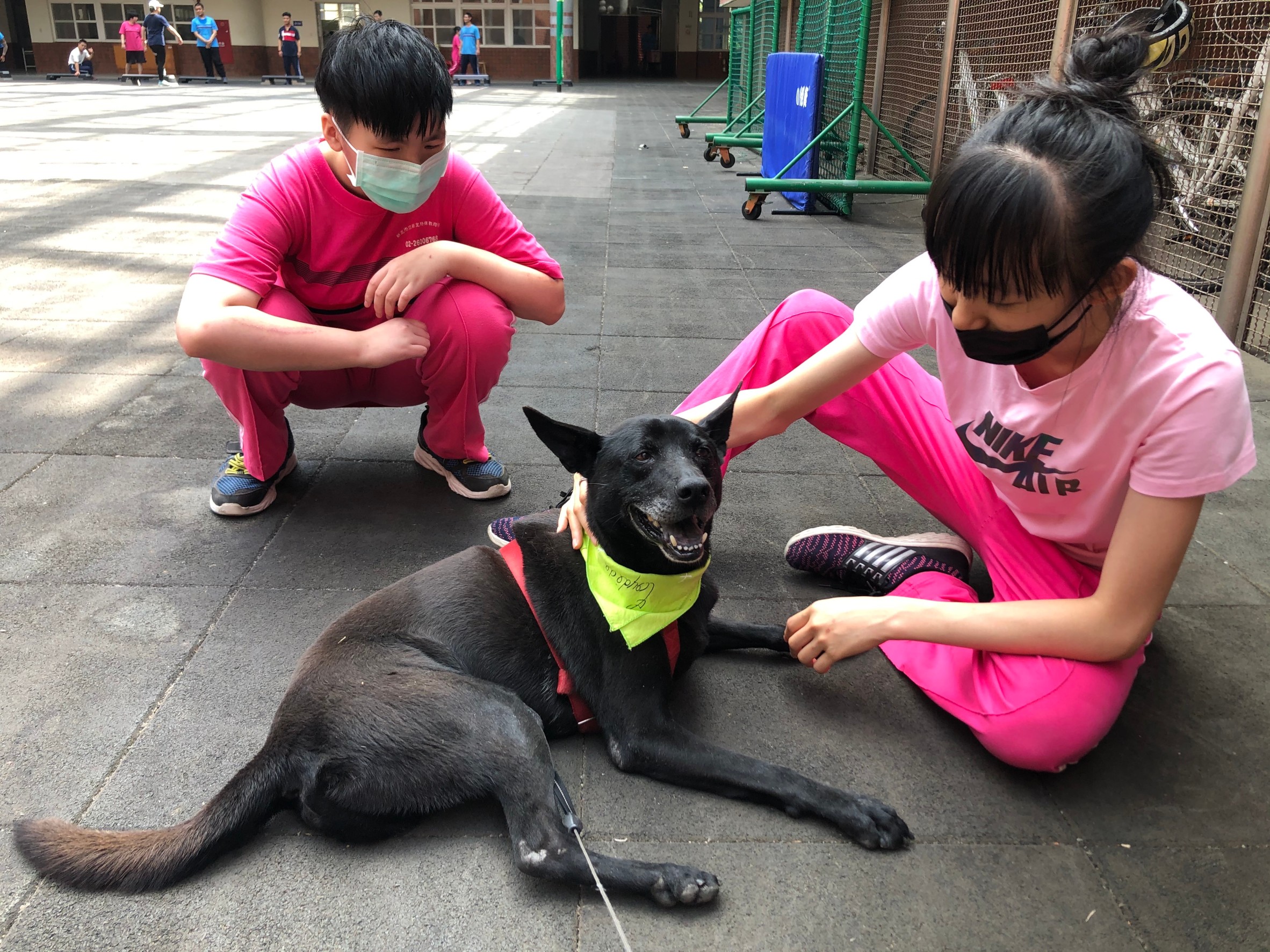 校方安排生命教育課程。