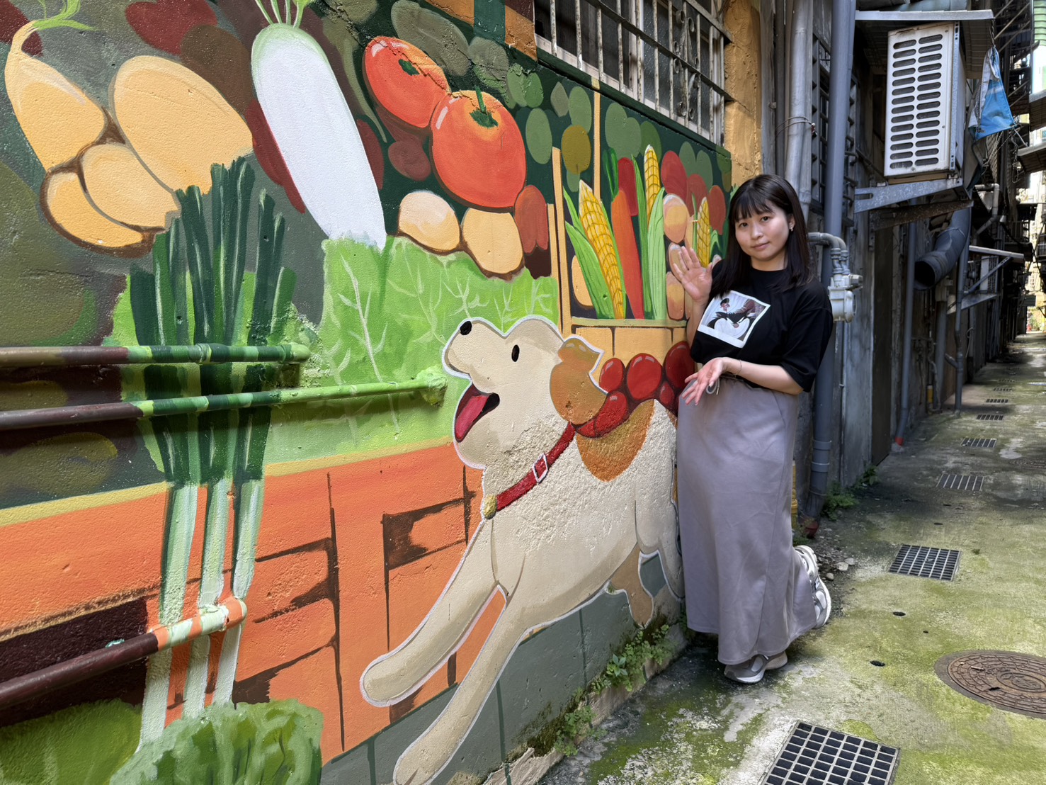 市場裡的蔬果米克斯都愛不釋手（板橋區東丘里）