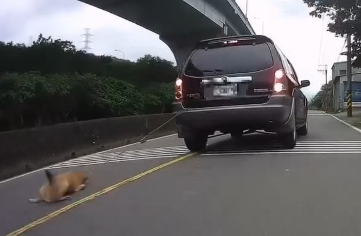犬隻遭車輛持續拖行