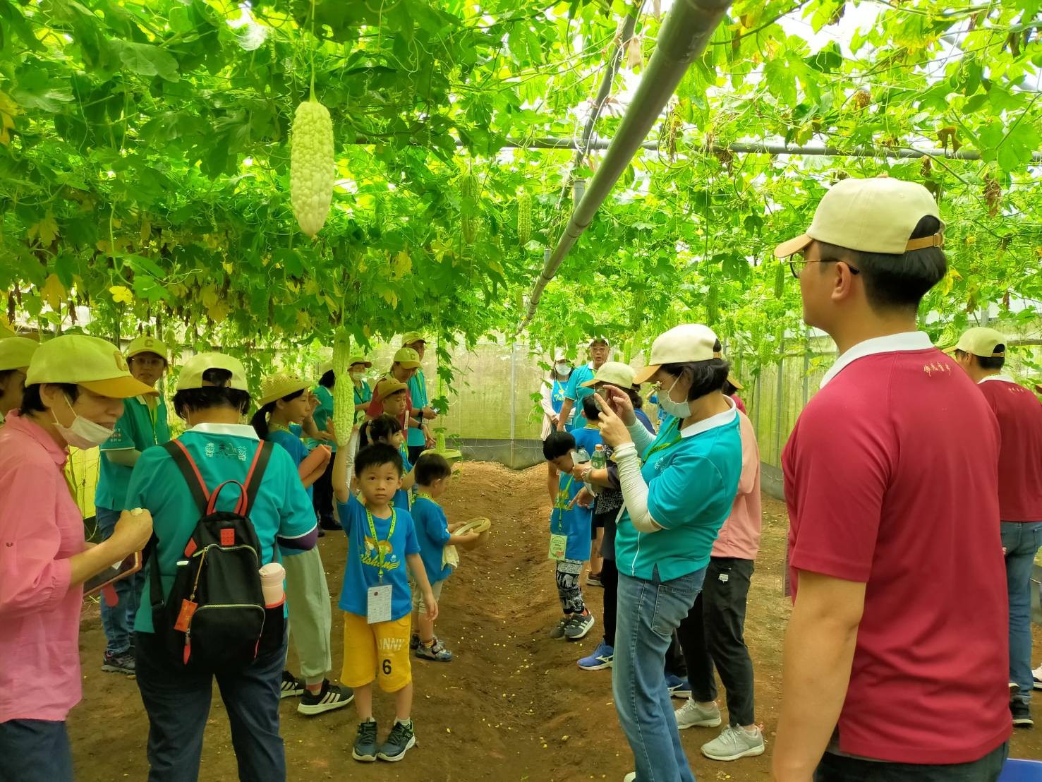 淡水忠寮社區推出北管體驗 北新有機休閒農場推出採菜體驗