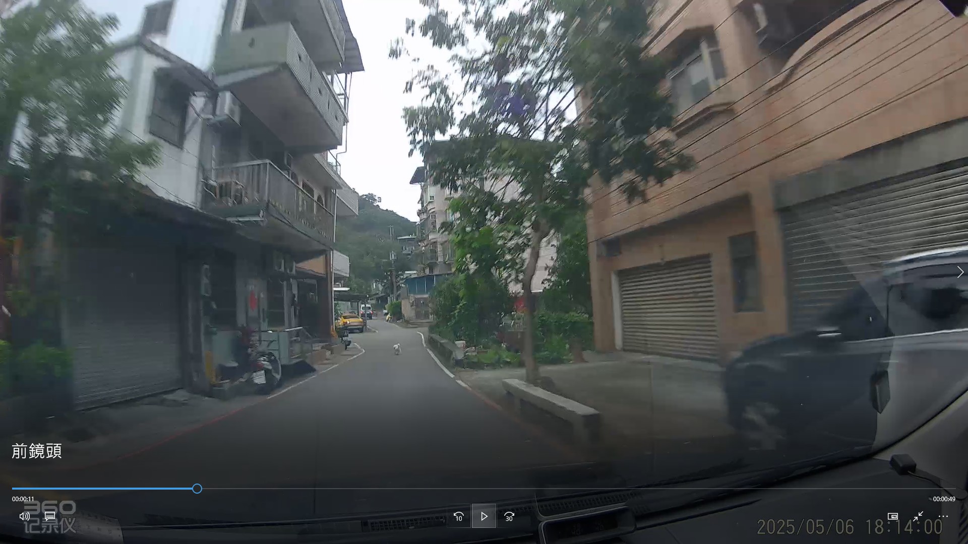 犬隻未加以管控，誤闖入馬路虎口。