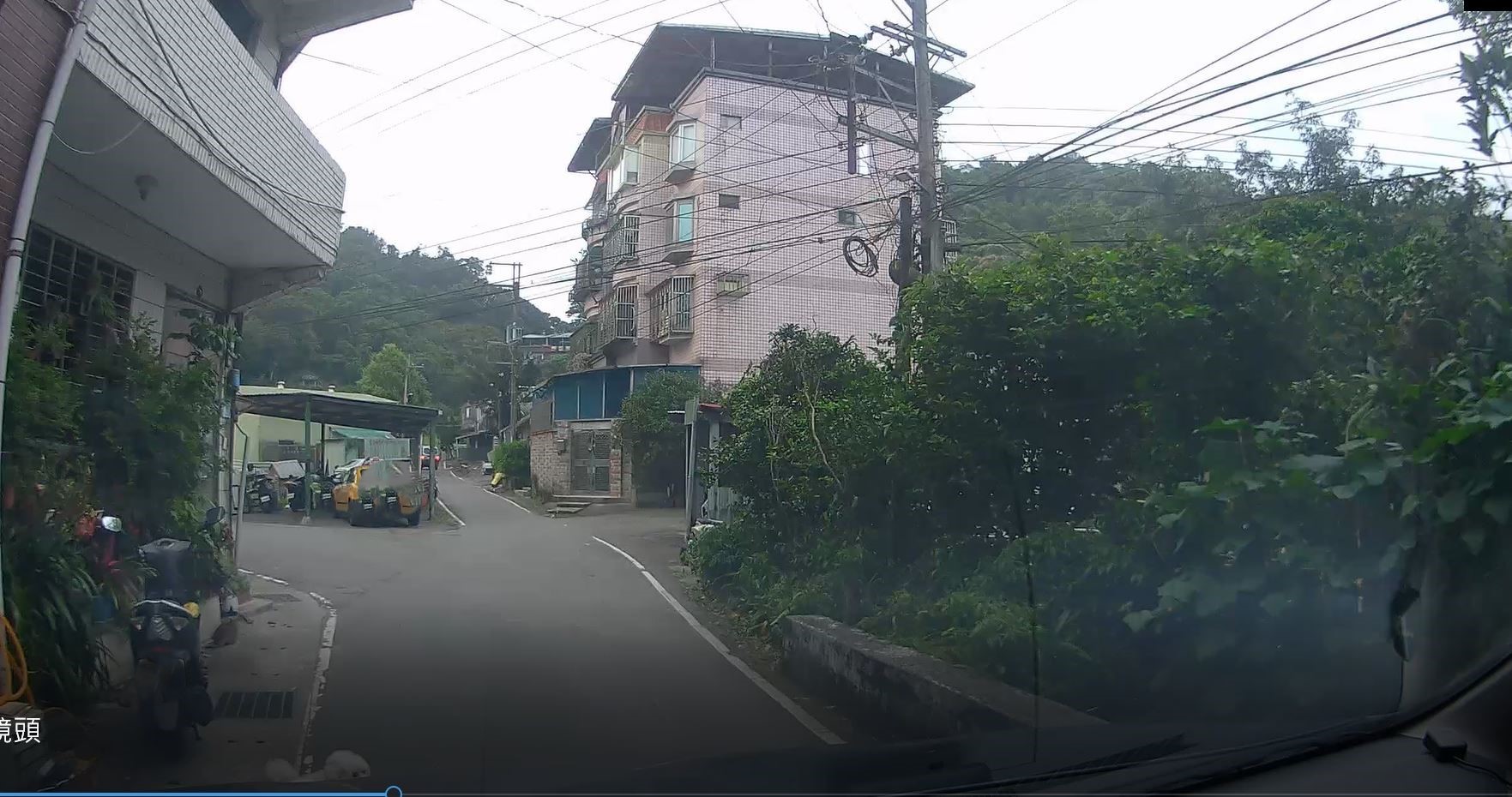  駕駛人未確認犬隻在路旁安全區域，車輛仍繼續往前行駛。
