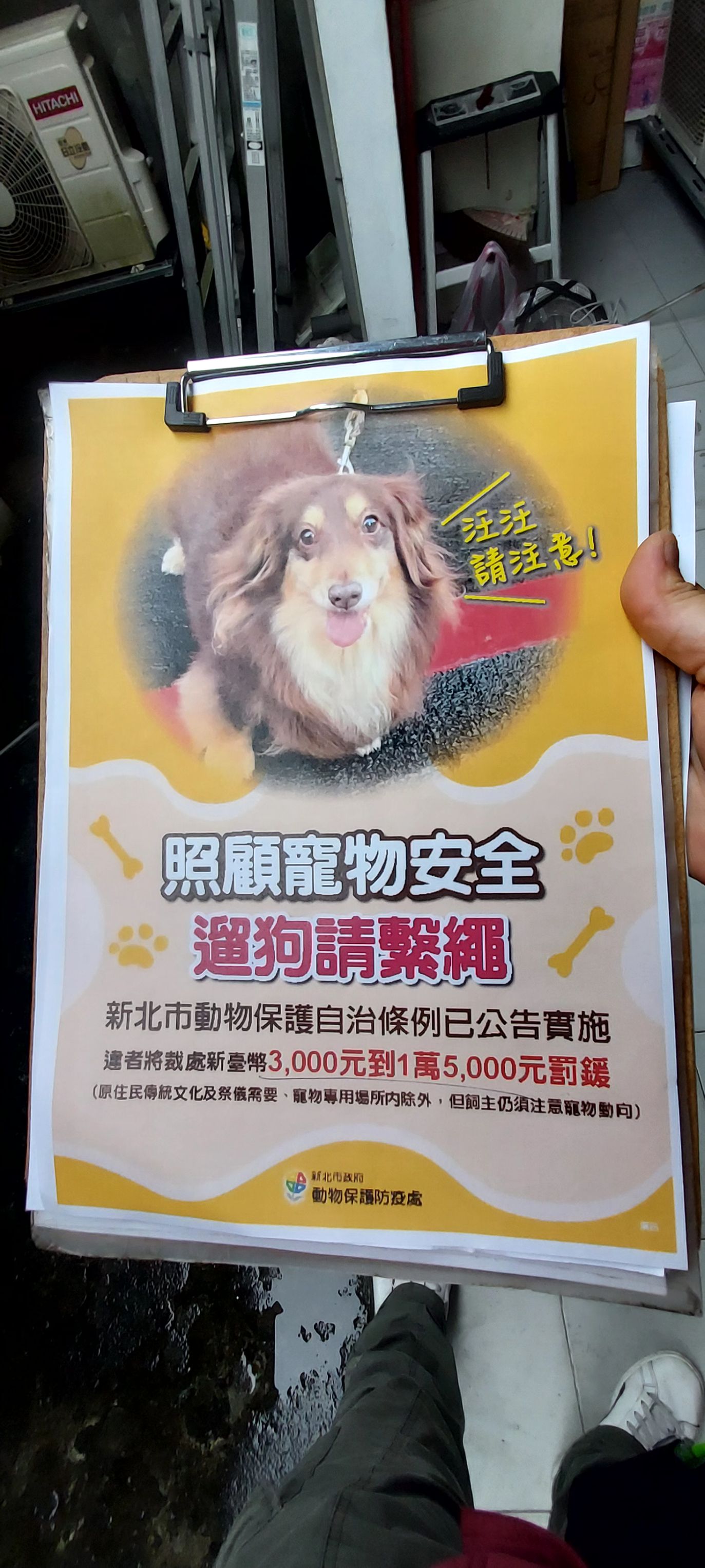 犬隻外出應繫繩，違反者可處3000元至1萬5000元罰鍰