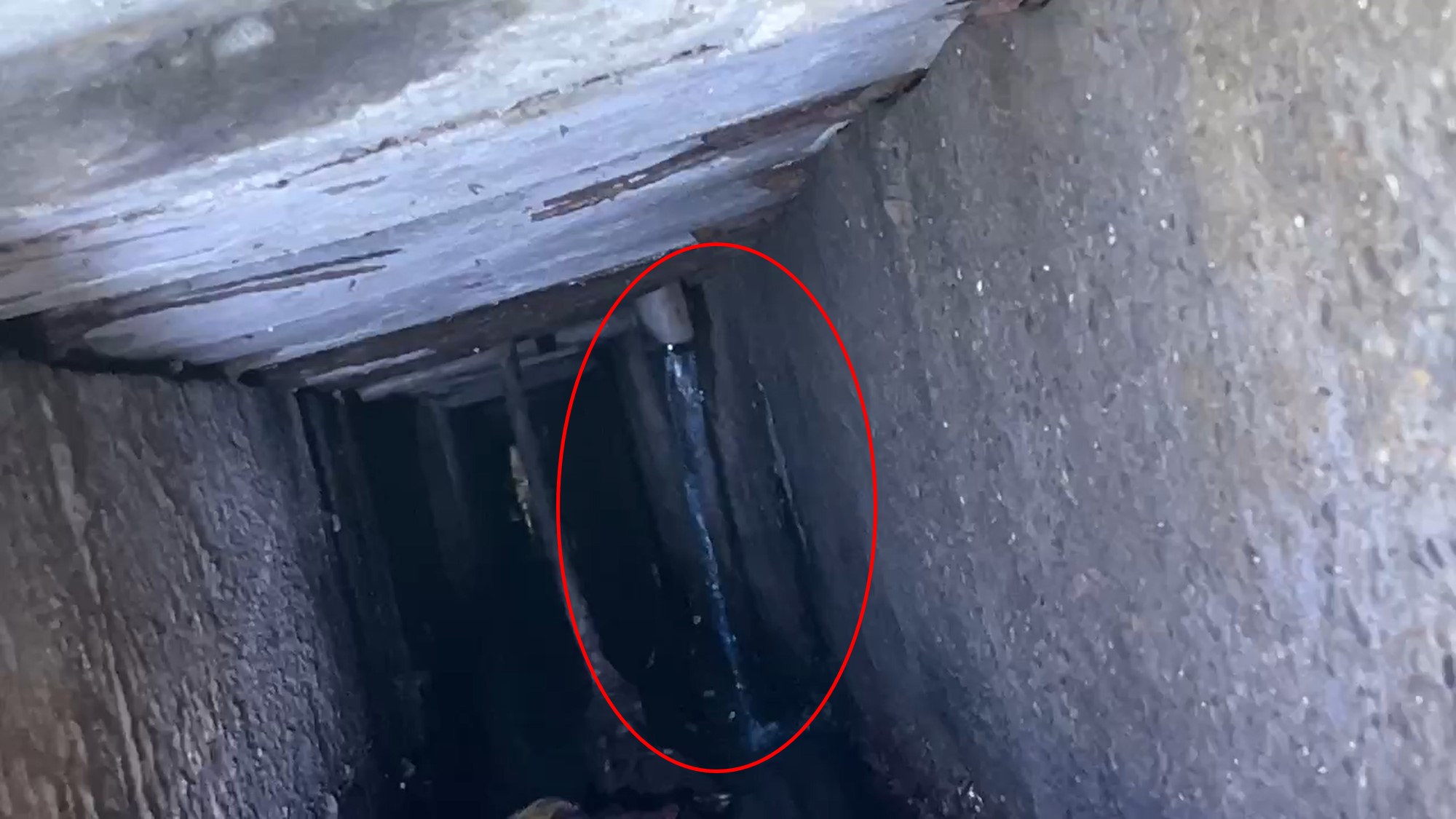 於倉庫內水槽投放藍色示蹤劑確認水路流向