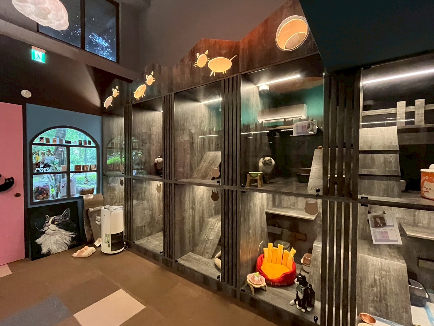  貓咪旅館。